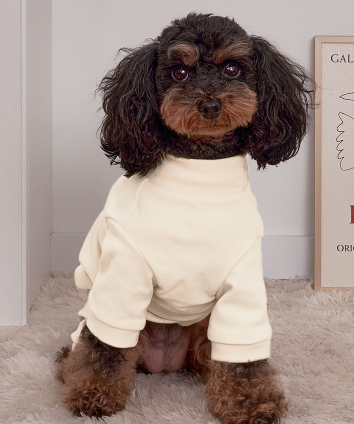 베일리(BAILEY) 강아지옷 이자벨 벌룬 올인원 크림