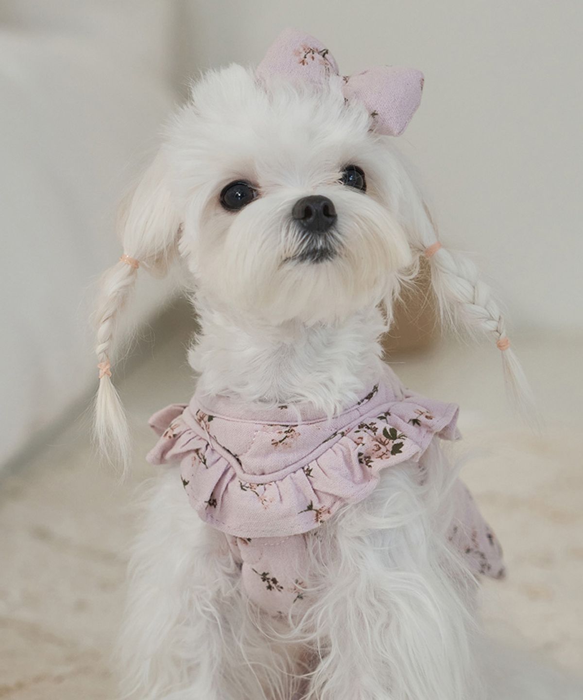 베일리(BAILEY) 강아지 코튼 플라워 누빔 조끼 핑크