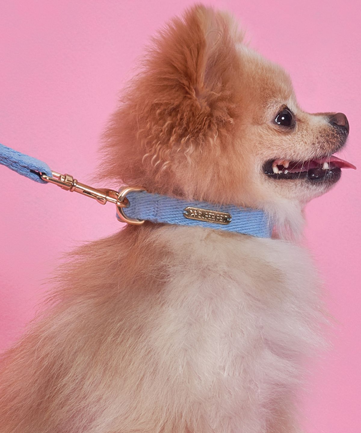 슈퍼펫(SUPERPET) 강아지 산책 코튼 목줄 5color