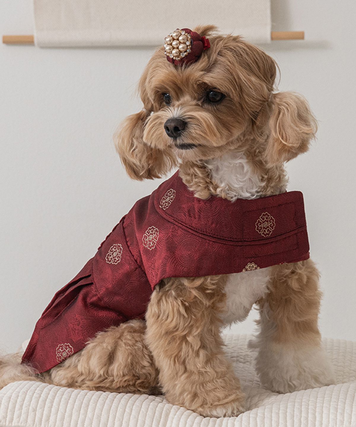 베일리(BAILEY) 강아지 향균 용포 한복 임금홍색
