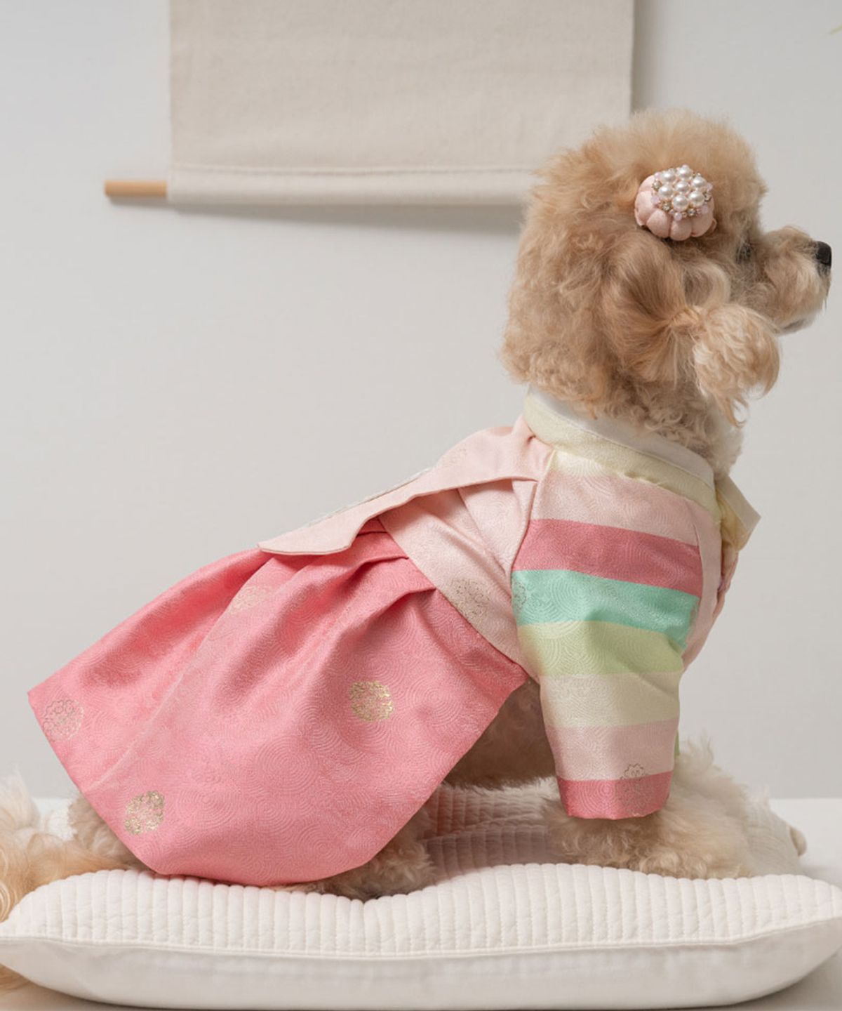 베일리(BAILEY) 강아지 향균 색동당의 한복 분홍빛