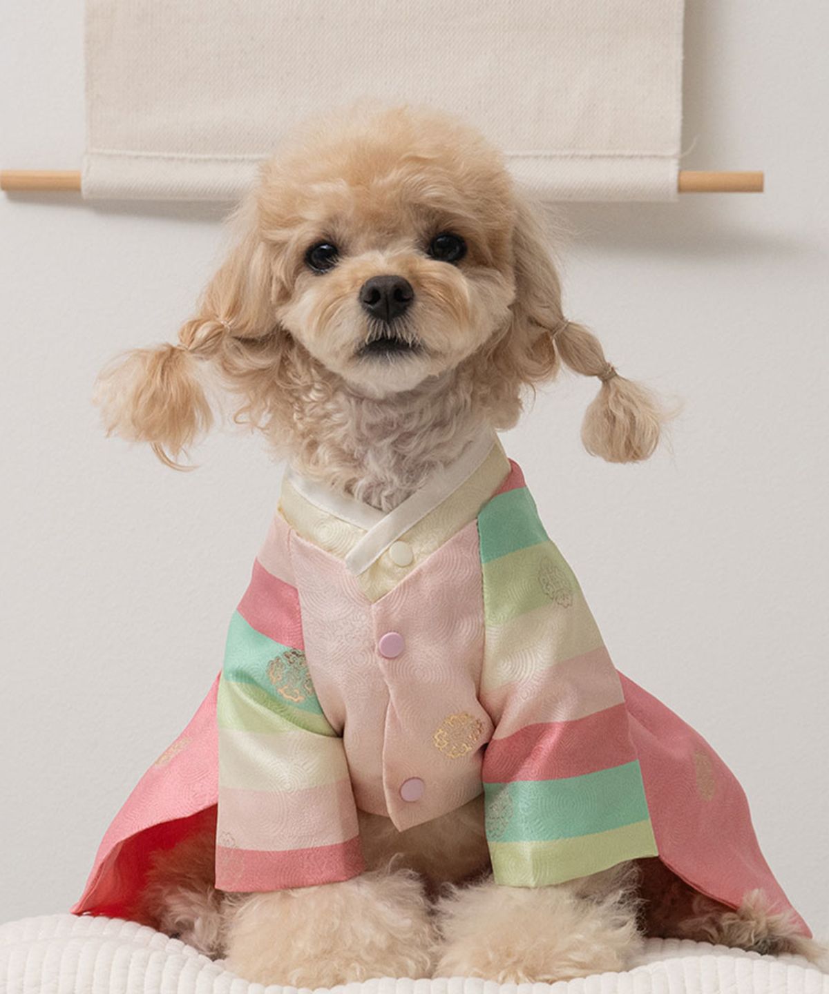 베일리(BAILEY) 강아지 향균 색동당의 한복 분홍빛