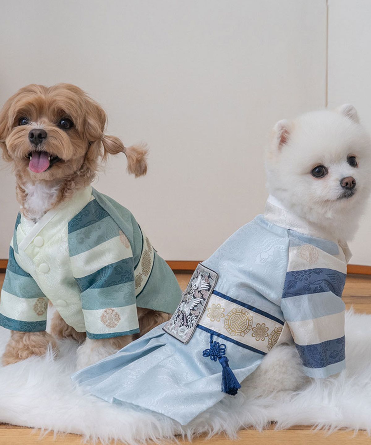 베일리(BAILEY) 강아지 설날 항균 서후왕자 한복 푸른빛