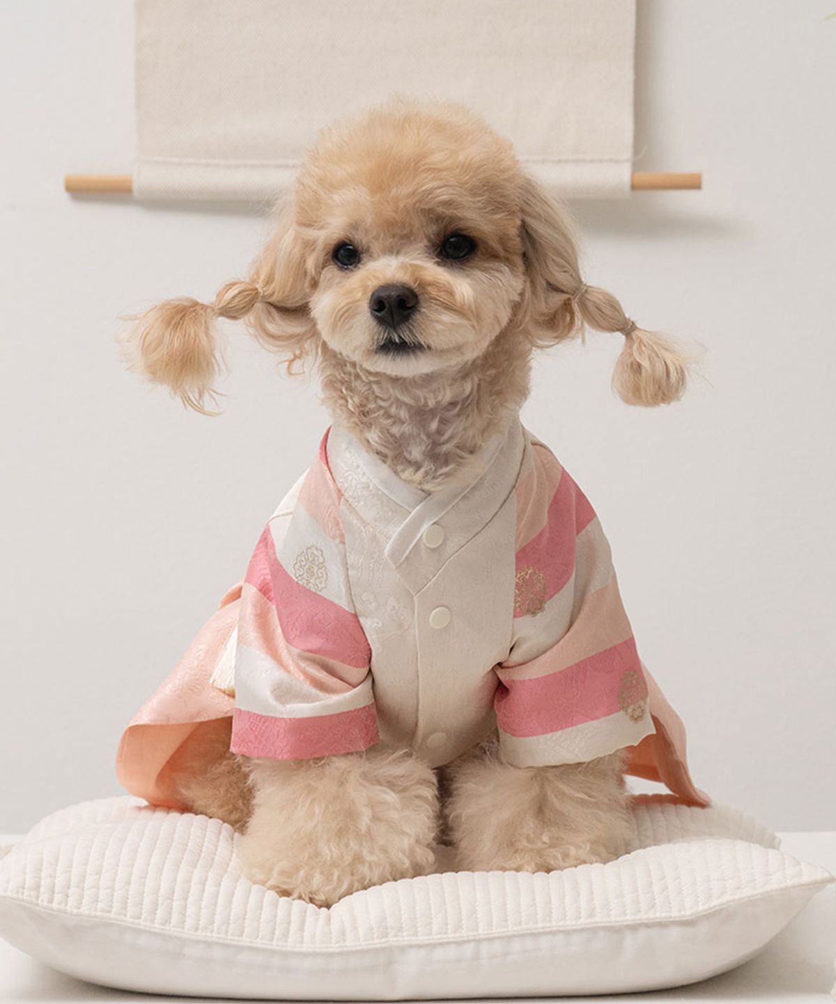 베일리(BAILEY) 강아지 설날 항균 가온공주 한복 산호빛