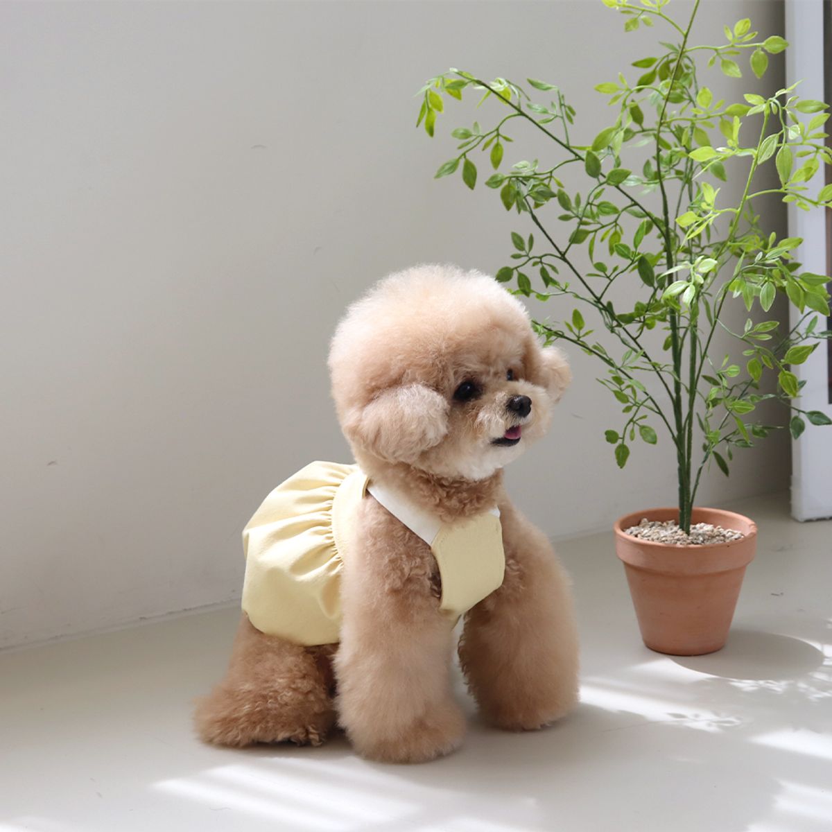 쉬오트(CHIOT) 러브썸 볼륨 오버롤 (옐로우)