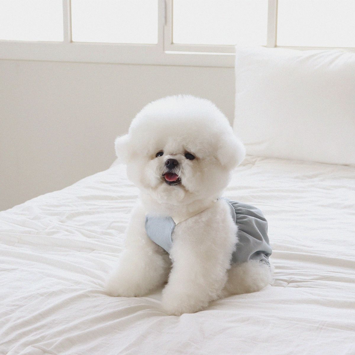 쉬오트(CHIOT) 러브썸 볼륨 오버롤 (블루)