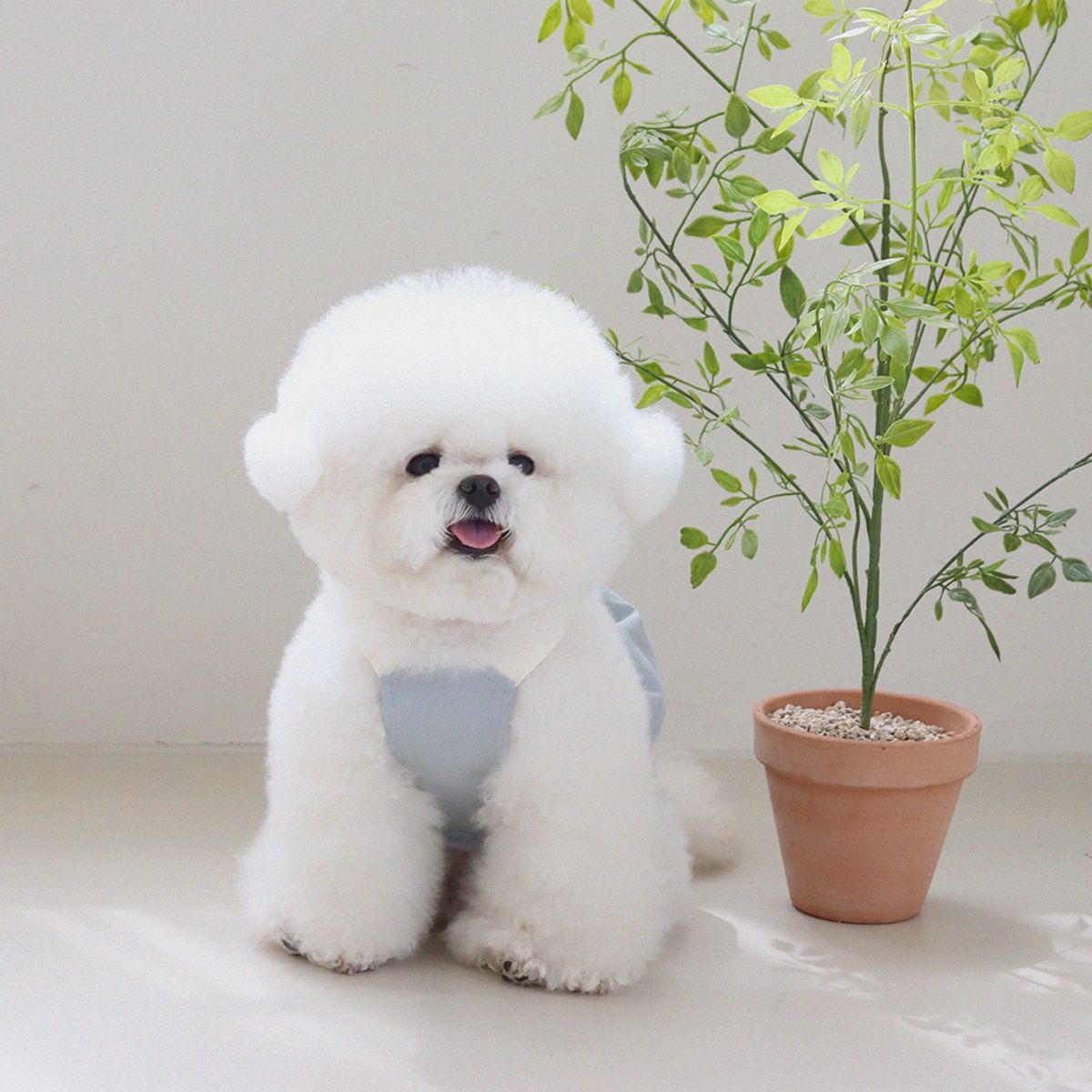쉬오트(CHIOT) 러브썸 볼륨 오버롤 (블루)