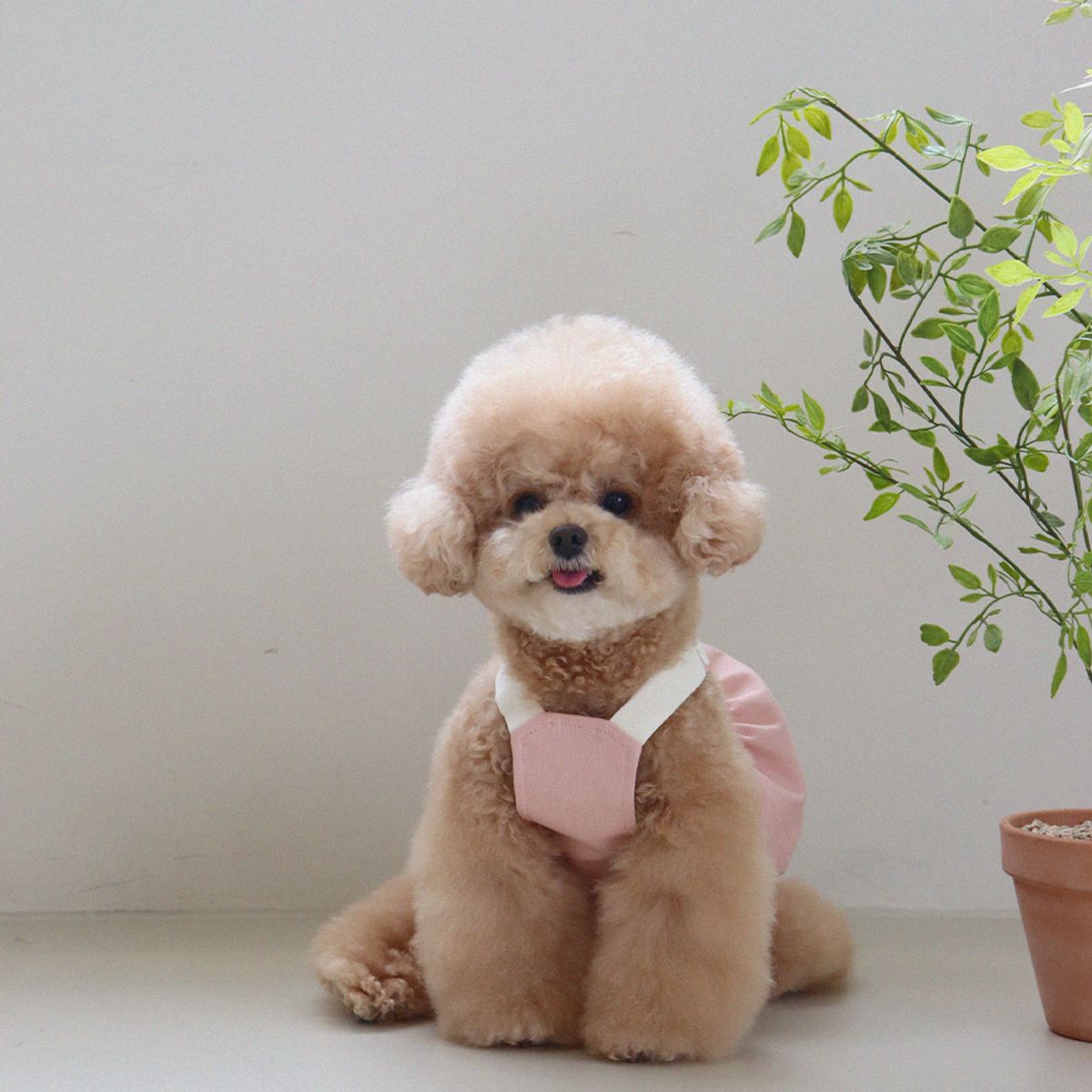 쉬오트(CHIOT) 러브썸 볼륨 오버롤 (핑크)