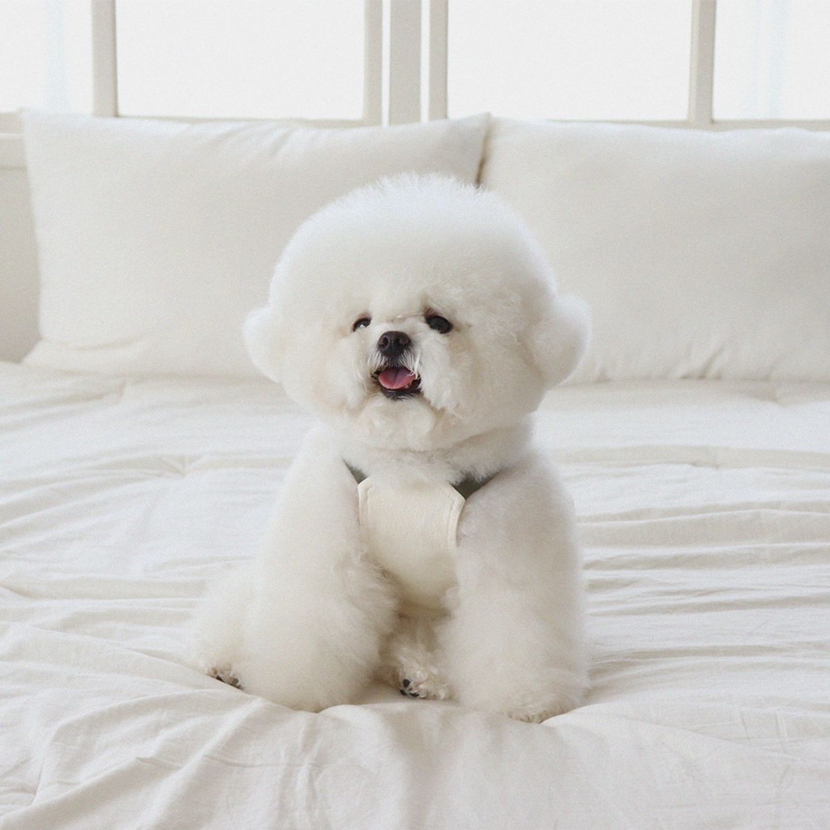 쉬오트(CHIOT) 러브썸 볼륨 오버롤 (크림)