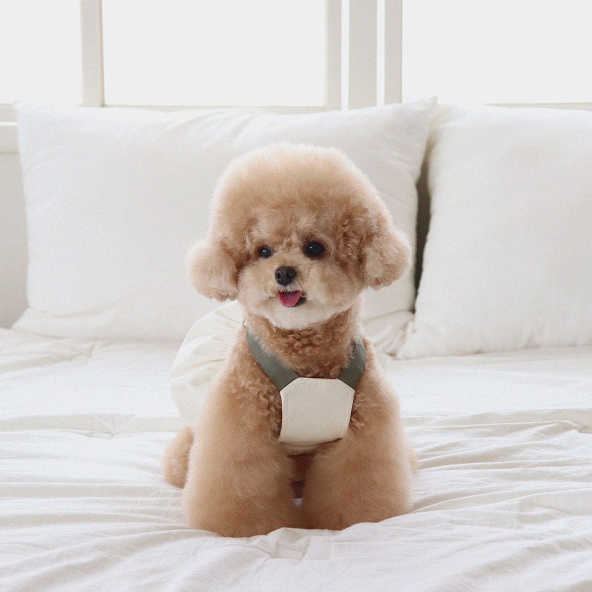 쉬오트(CHIOT) 러브썸 볼륨 오버롤 (크림)