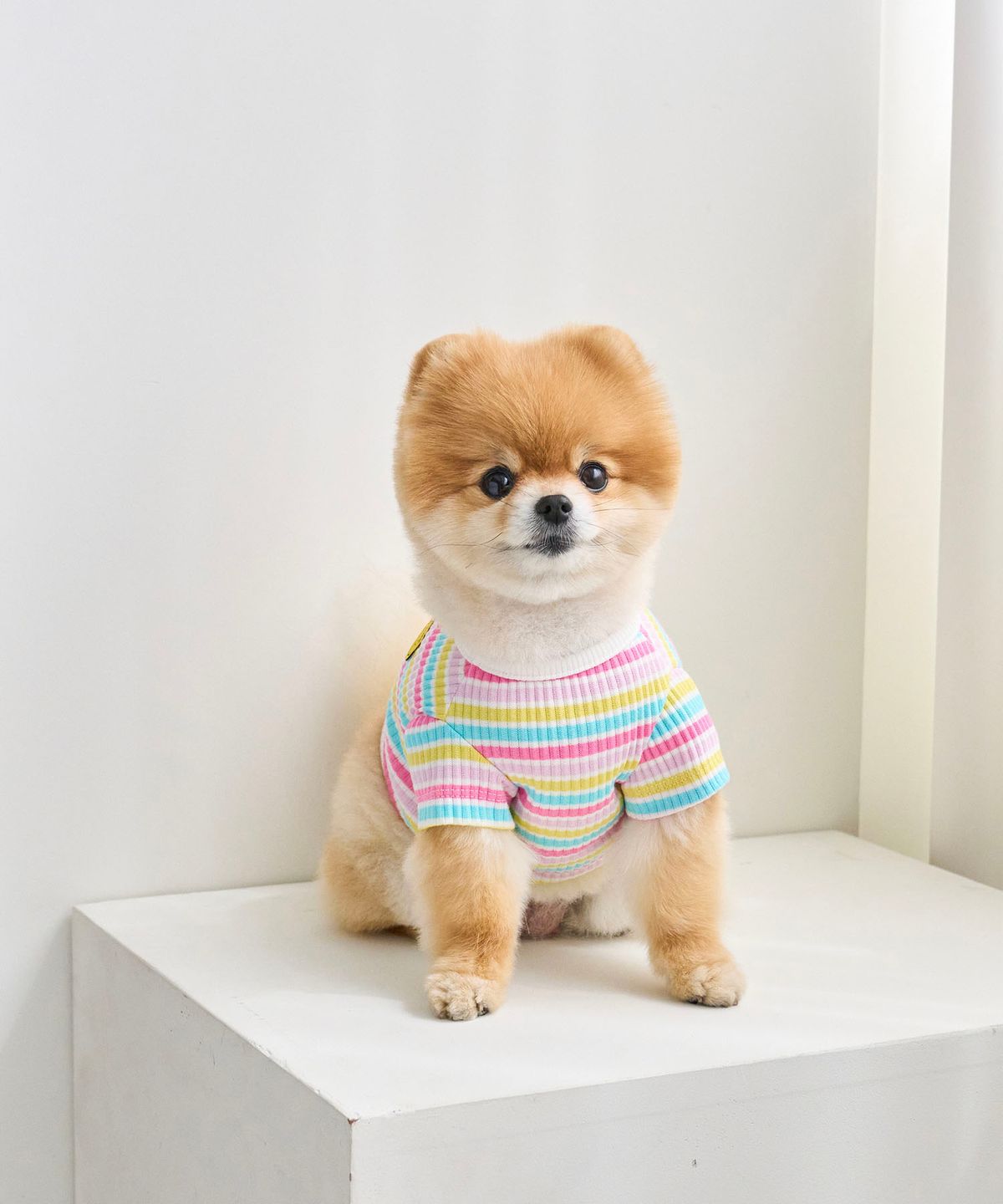 위드토리(WITH TORY) 캔디팝 크롭 티셔츠 (파스텔)