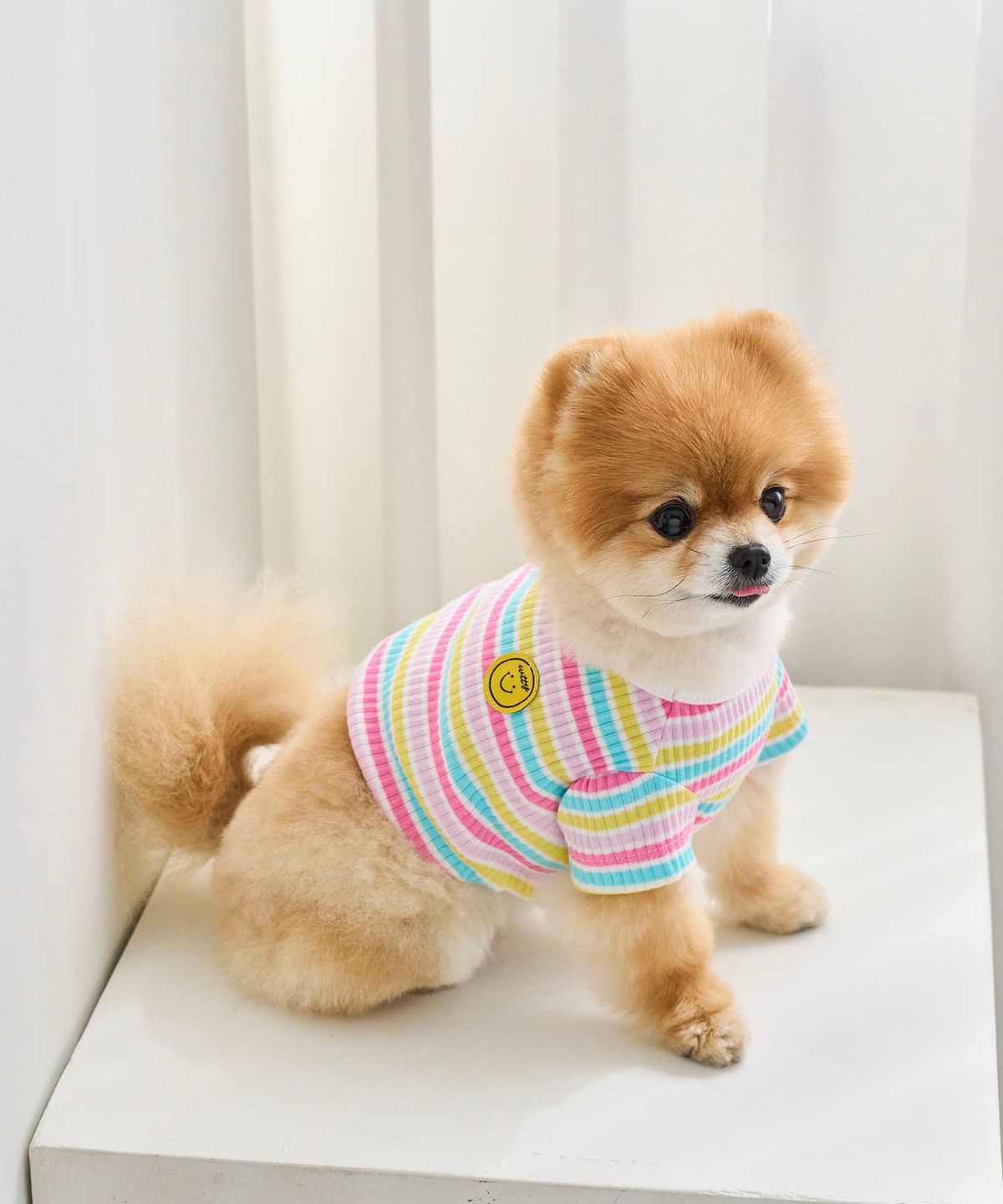 위드토리(WITH TORY) 캔디팝 크롭 티셔츠 (파스텔)