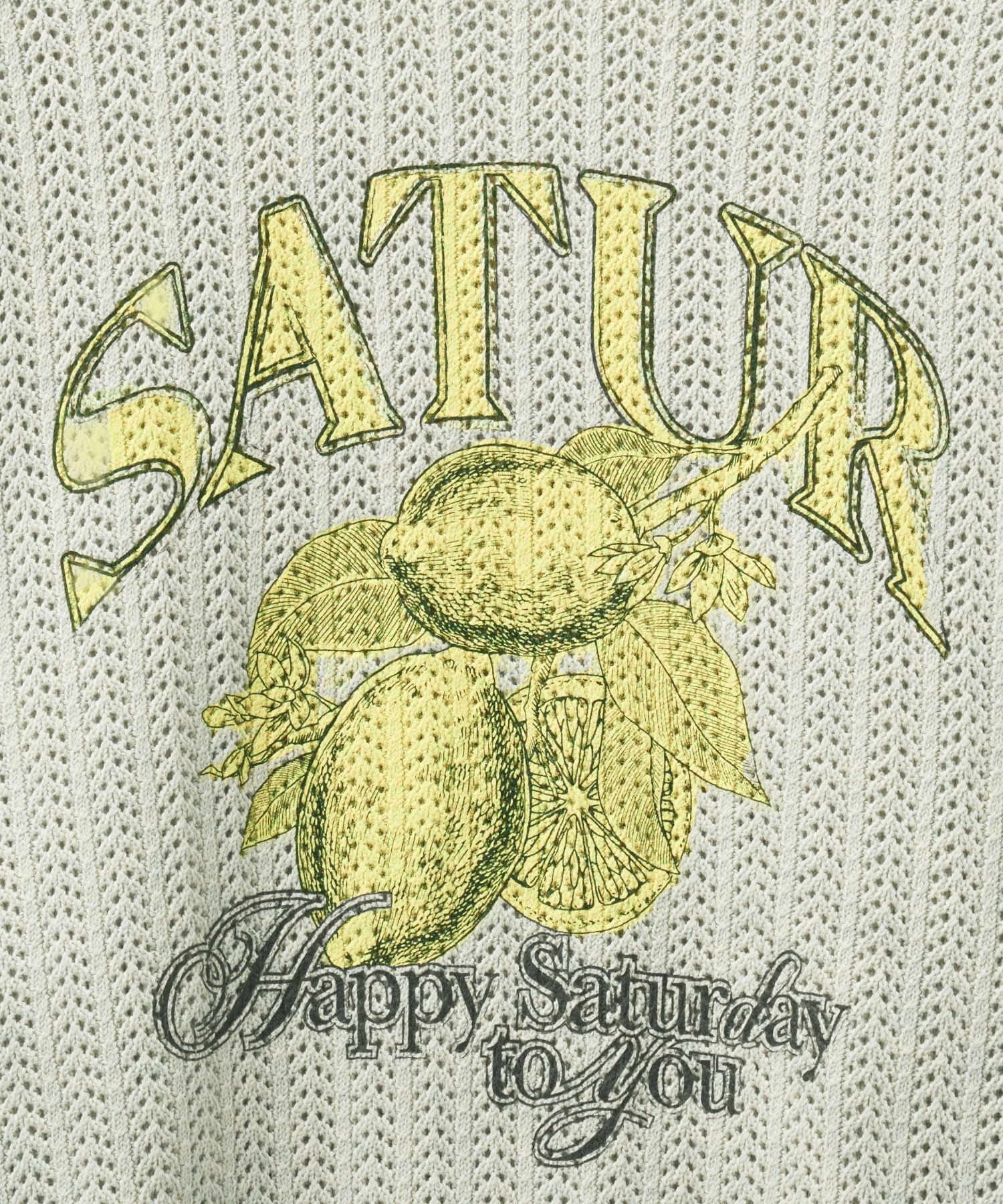 ◆SATUR◆ Ibiza ocean graphic mesh knit natural green SA242M MUSINSA | SATUR Ibiza Natural Mesh Knit Natural Green