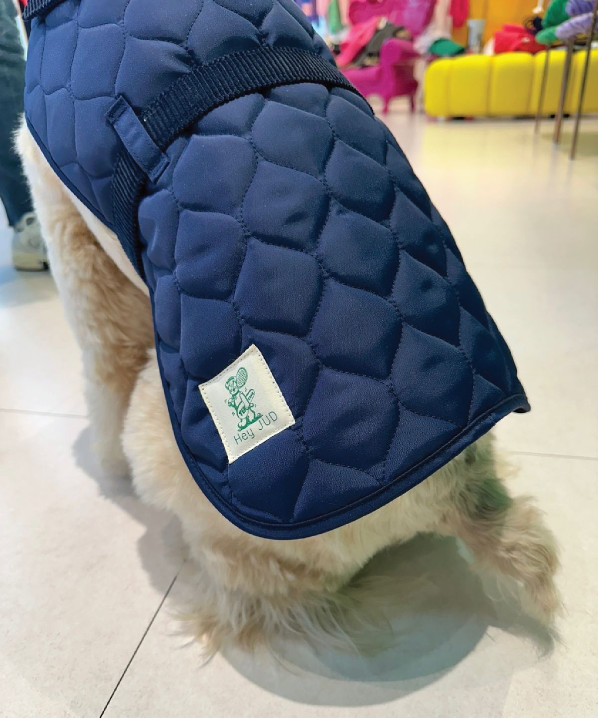헤이쥬드(HEYJUD) Hey Dog Padding 헤이 독 패딩 (Radu Navy)