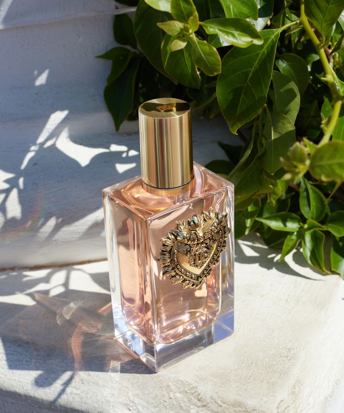 돌체앤가바나(DOLCE & GABBANA) 디보션 오 드 퍼퓸 50ml