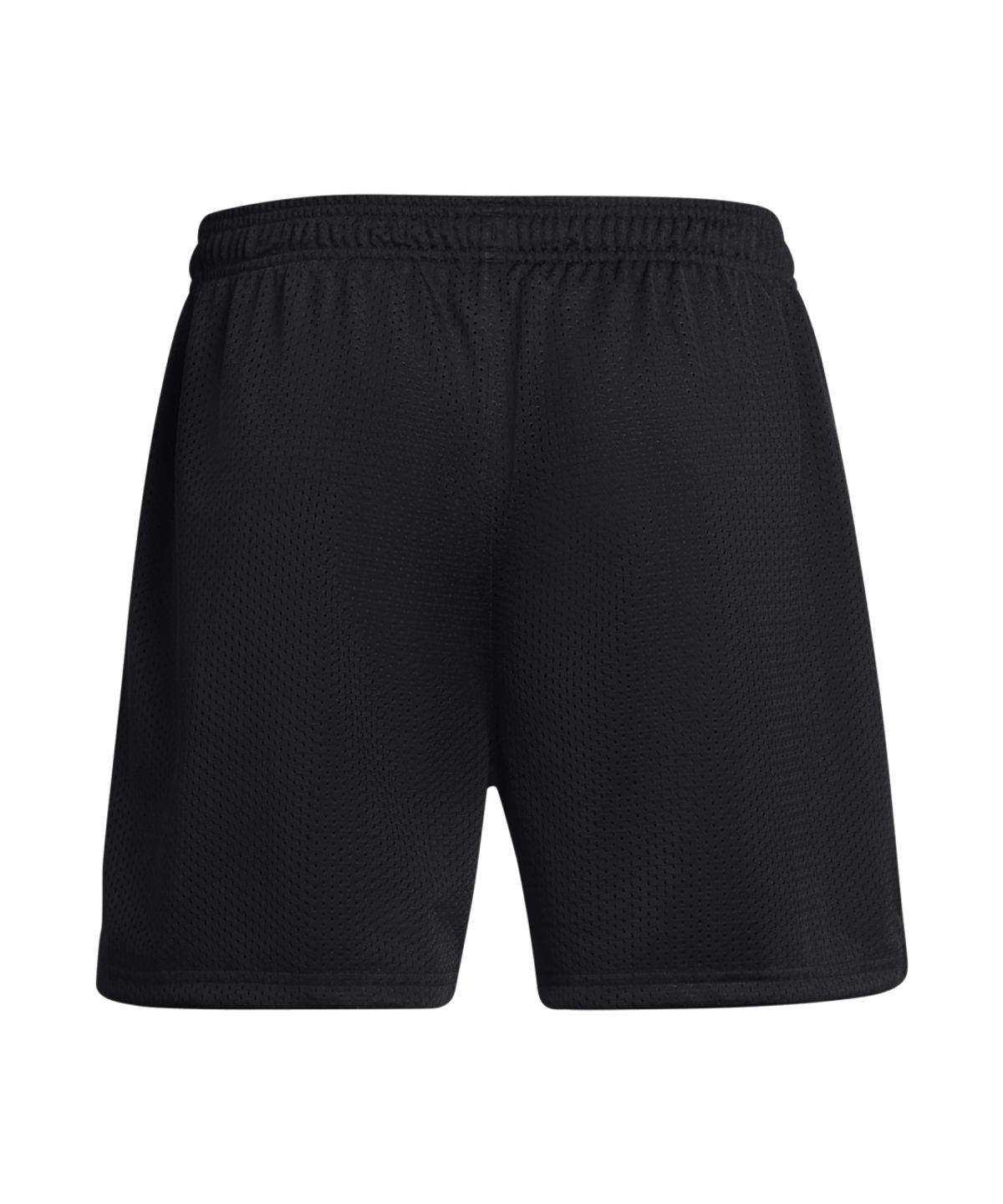 언더아머(UNDERARMOUR) 아이콘 메쉬 쇼츠 1383355-001