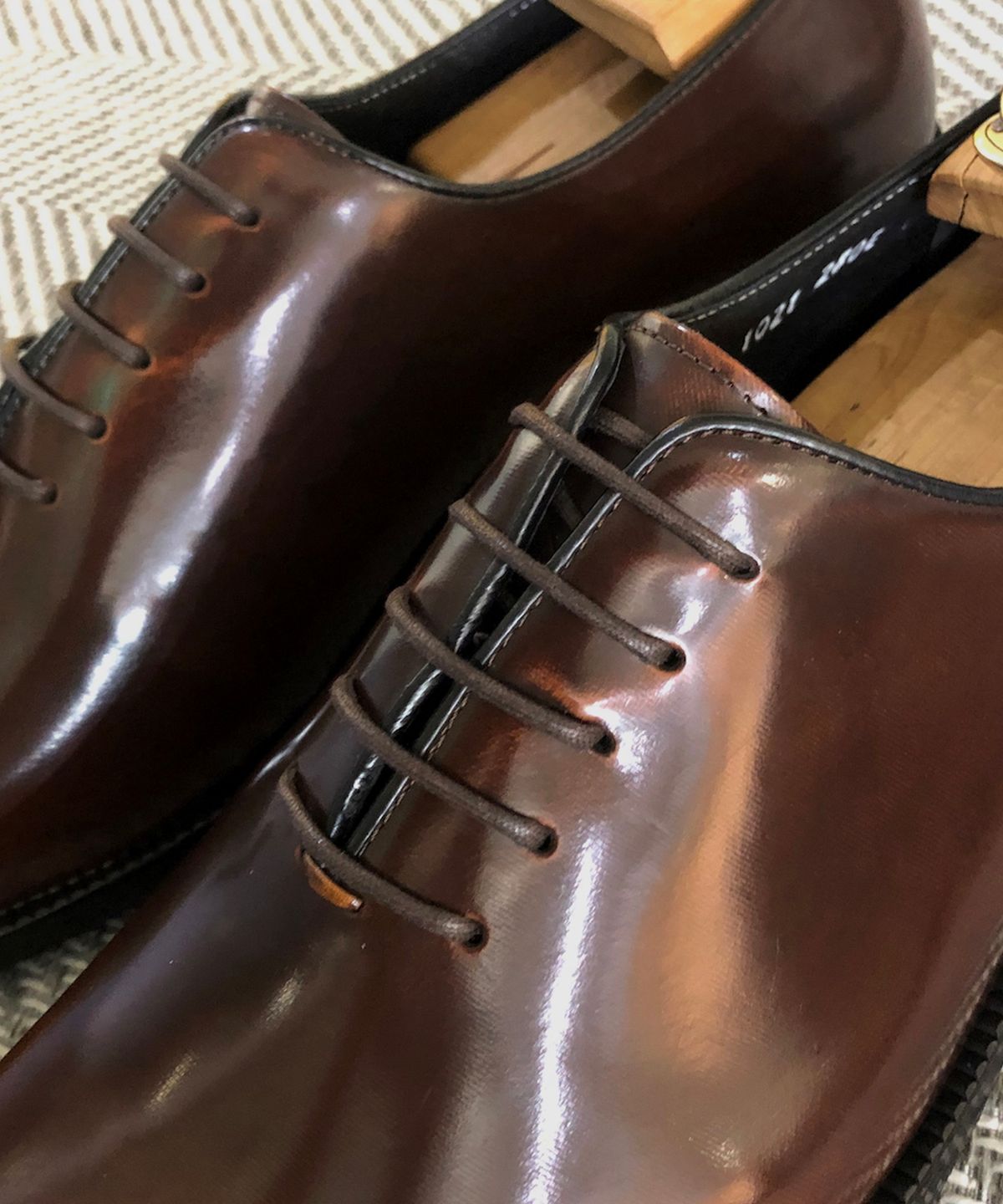 조앤슈(JOENSHOE) 해리스 홀컷 옥스퍼드 브라운아도방