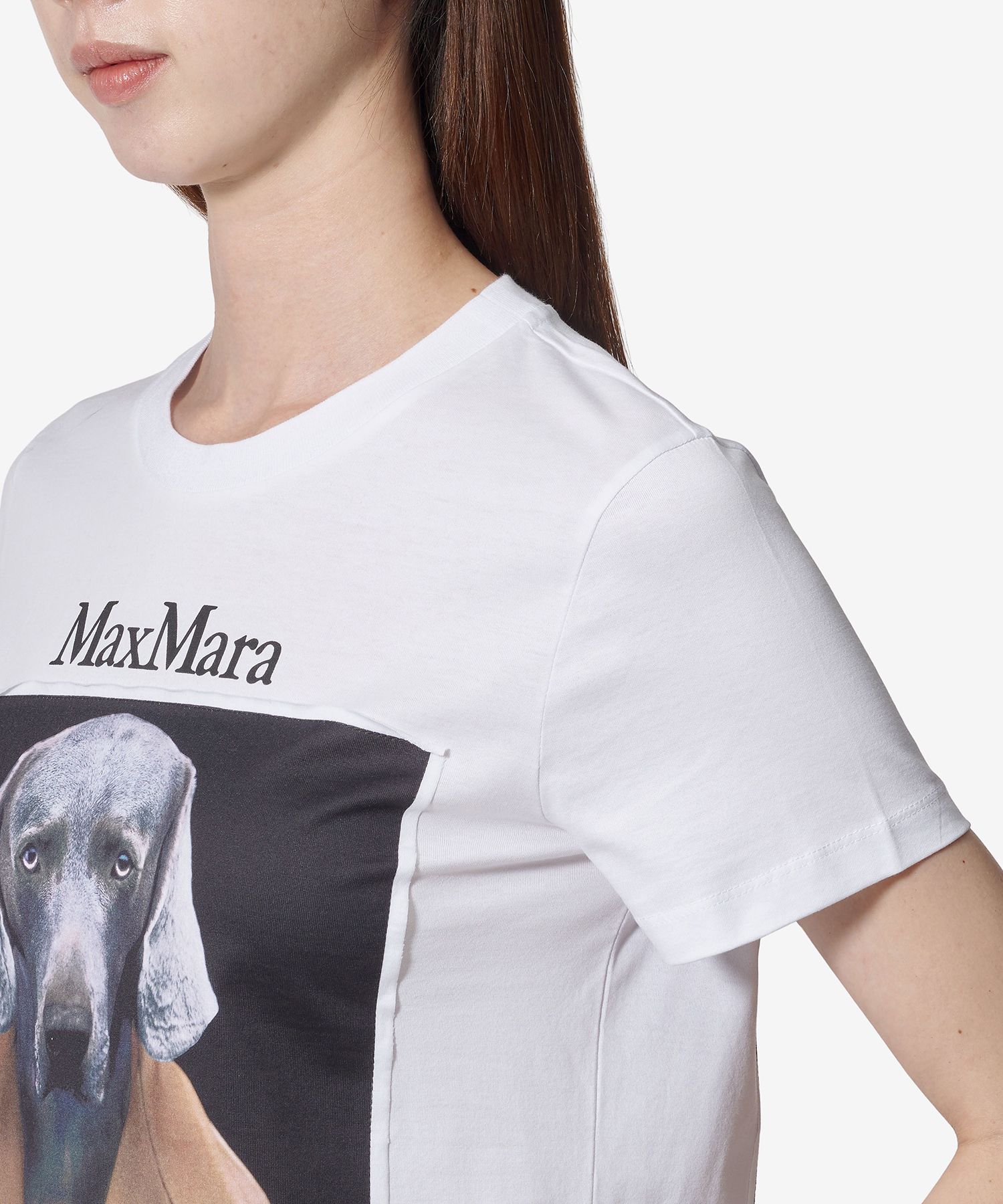 ★Max Mara★ CIPRIA Short Sleeve T-Shirt Camel 2194607160001 MUSINSA | MAXMARA CIPRIA Short Sleeve T-Shirt - Camel