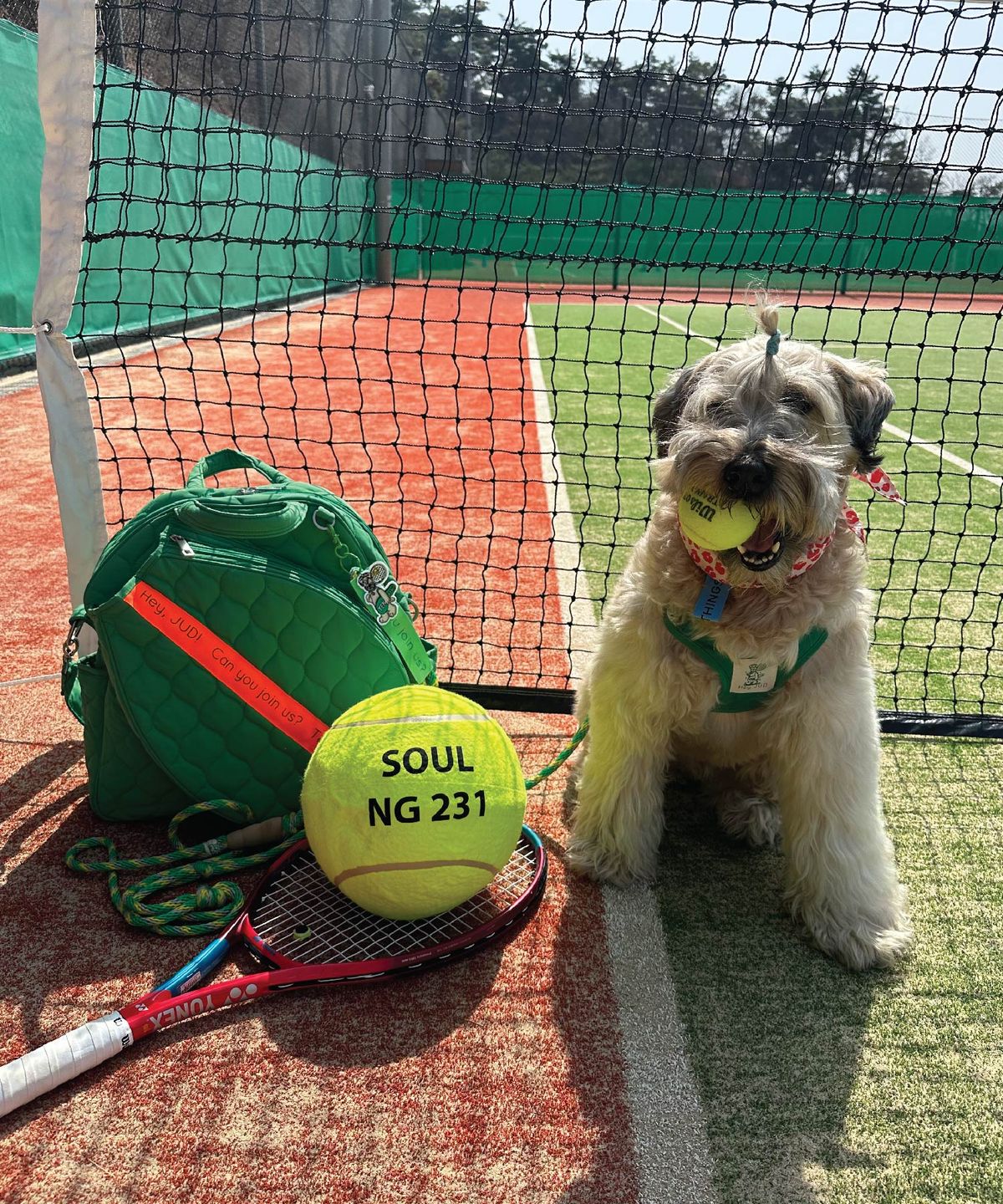 헤이쥬드(HEYJUD) Mate Tennis Bag 메이트 테니스 가방 ( Soul Green _ 오렌지 )