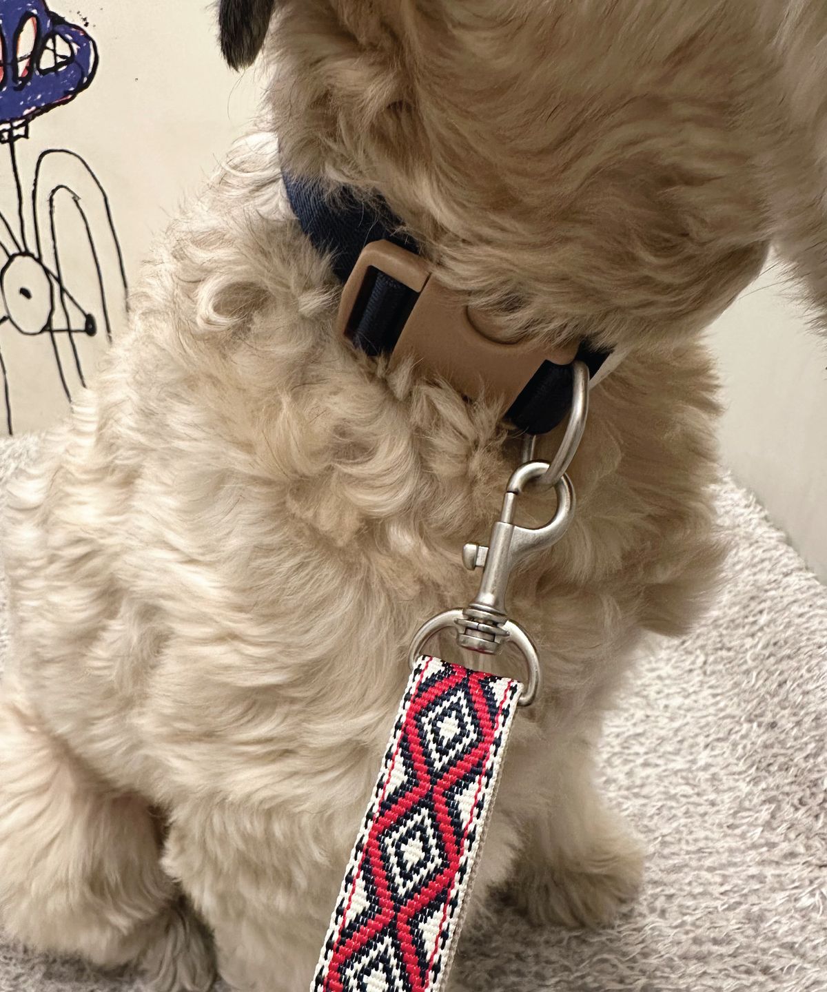 헤이쥬드(HEYJUD) JUD Collar  쥬드 목줄 (Radu Navy)
