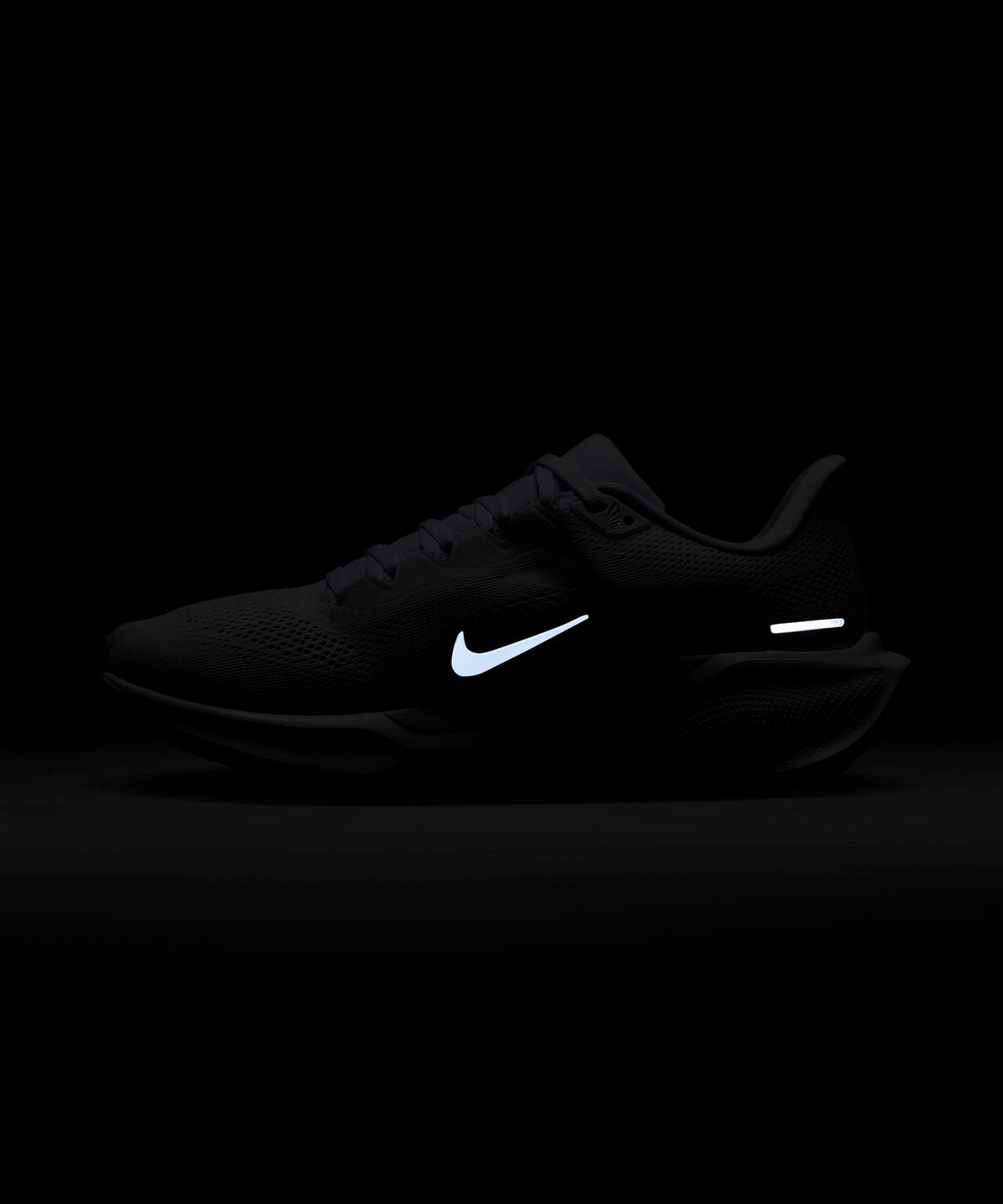 나이키(NIKE) 페가수스 41 W - 화이트:퓨어 플래티넘:메탈릭 실버:화이트 / FD2723-102