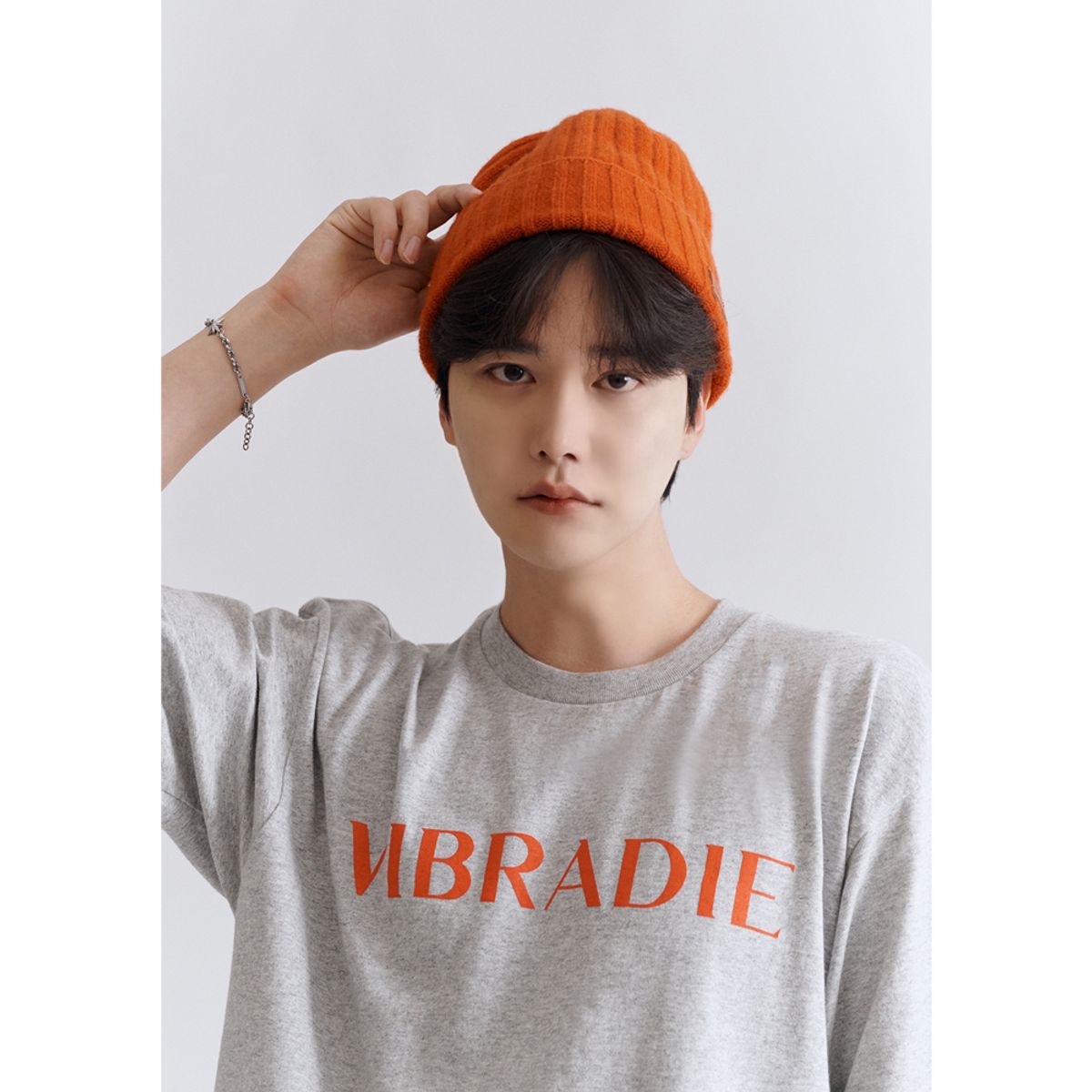 바이브라디(VIBRADIE) 바이브라디 남성  로고 그레이 반팔티
