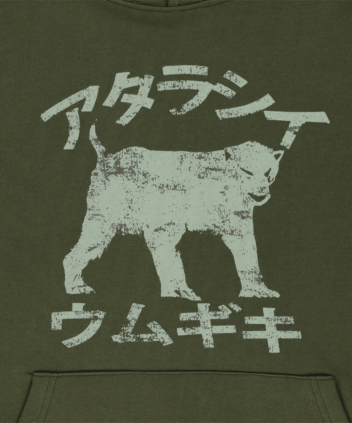 더콜디스트모먼트(THE COLDEST MOMENT) TCM move hoodie (khaki)