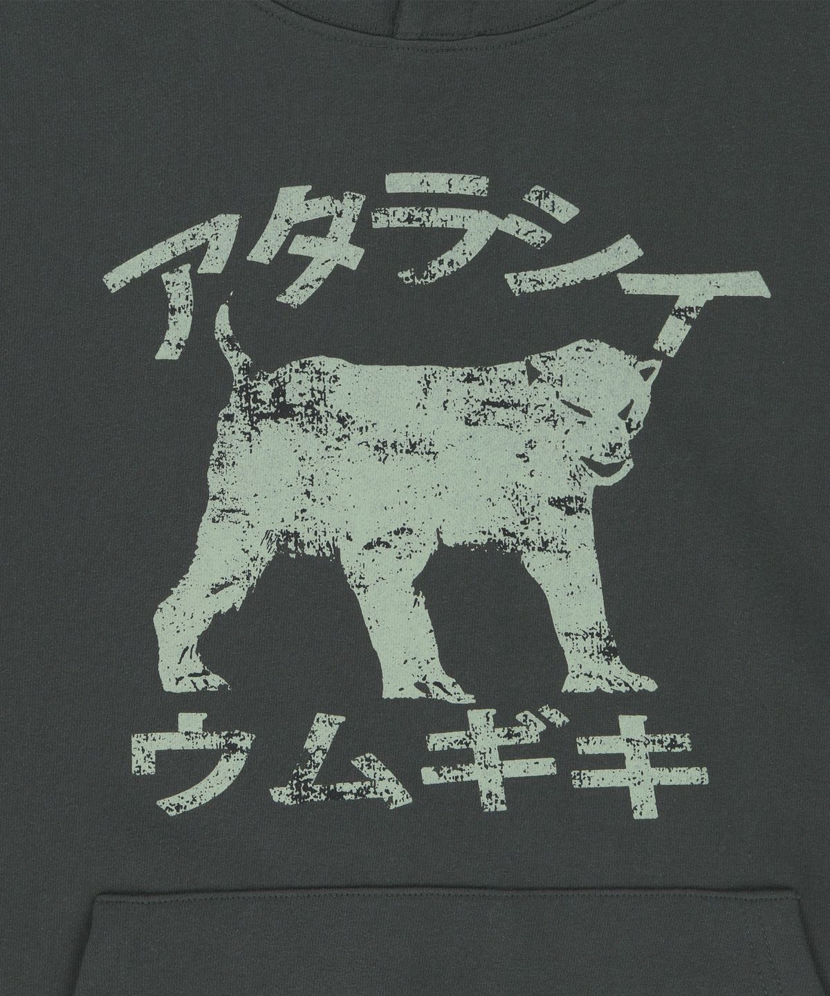 더콜디스트모먼트(THE COLDEST MOMENT) TCM move hoodie (charcoal)