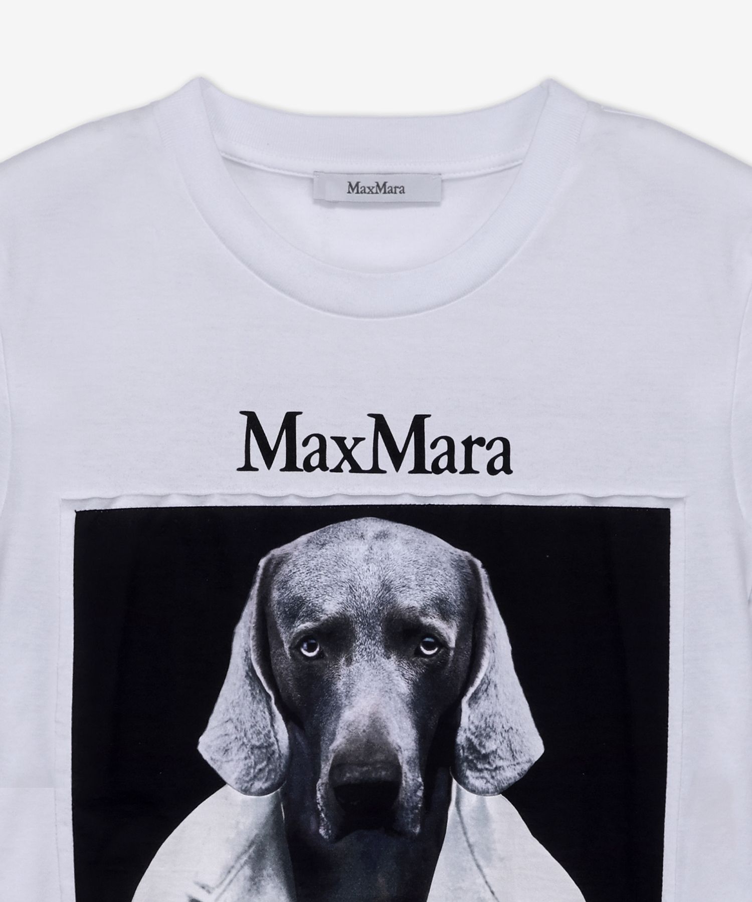 ★Max Mara★ CIPRIA Short Sleeve T-Shirt Camel 2194607160001 MUSINSA | MAXMARA CIPRIA Short Sleeve T-Shirt - Camel