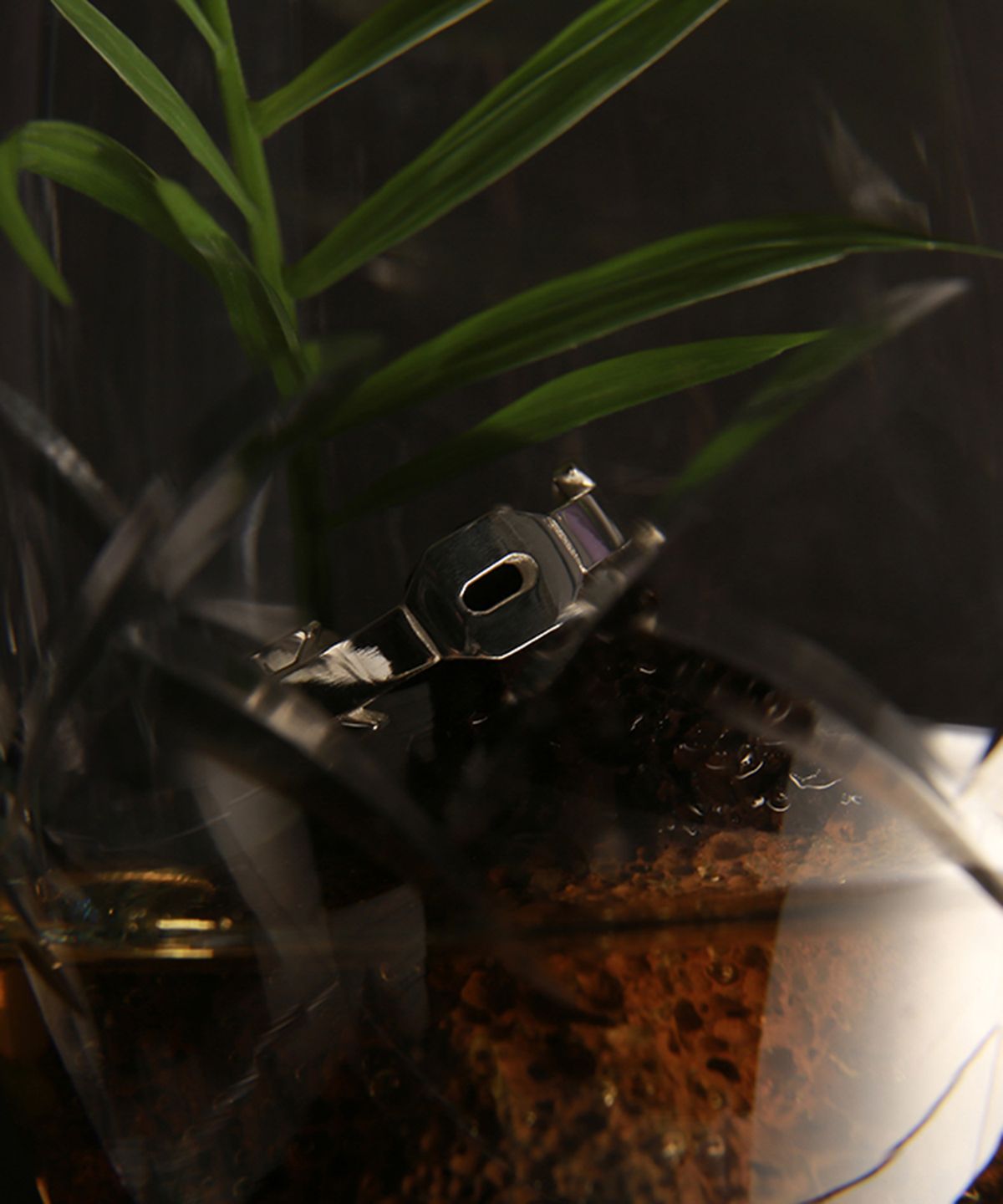 쿠도스(KUDOS) Ritzy Ring