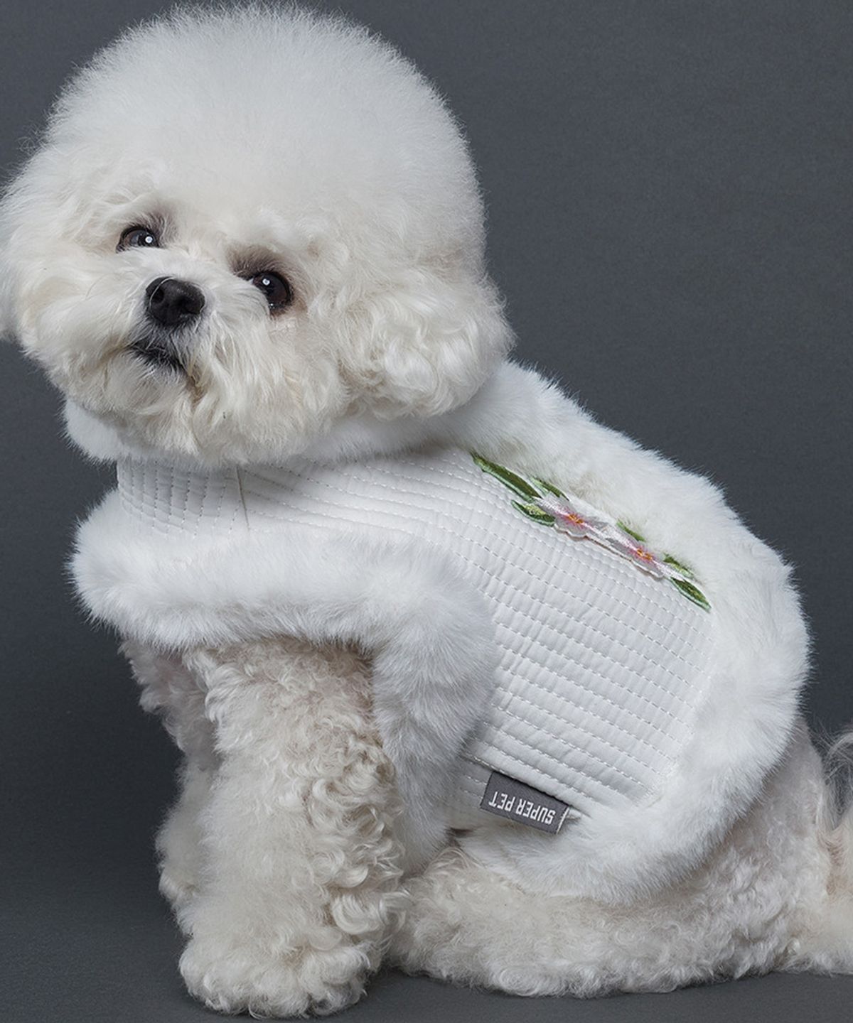 도그아이(DOGI) 강아지 한복 배자
