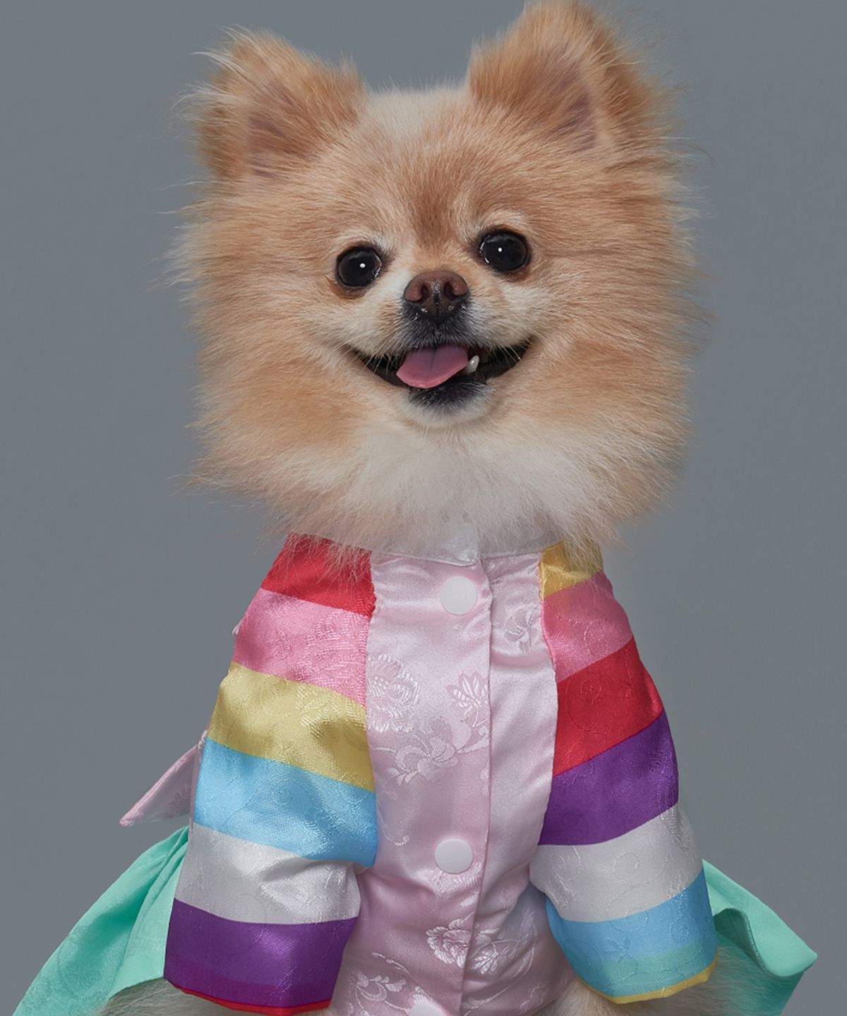 도그아이(DOGI) 강아지 송학당의한복 옥색