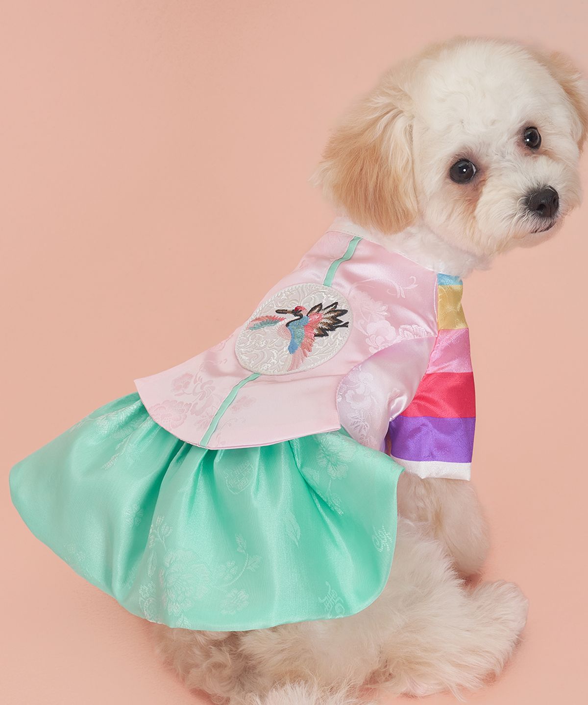 도그아이(DOGI) 강아지 송학당의한복 옥색