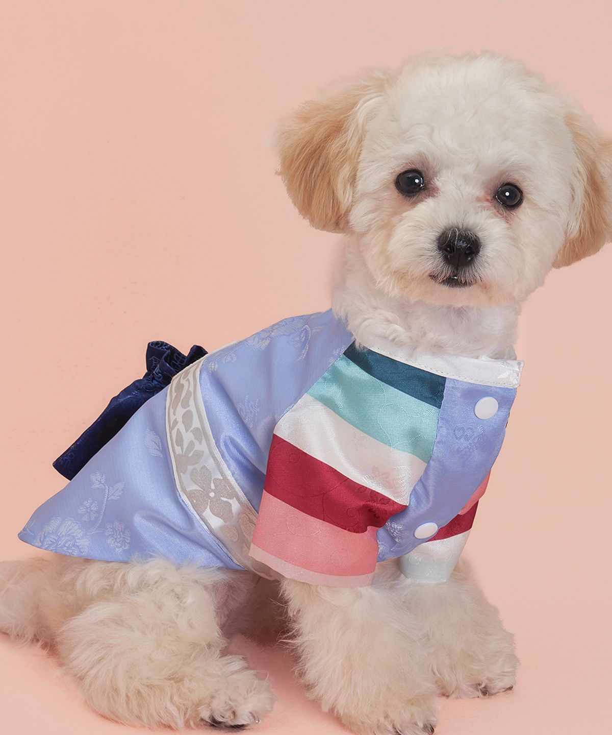 도그아이(DOGI) 강아지 남아은사단한복 벽자블루