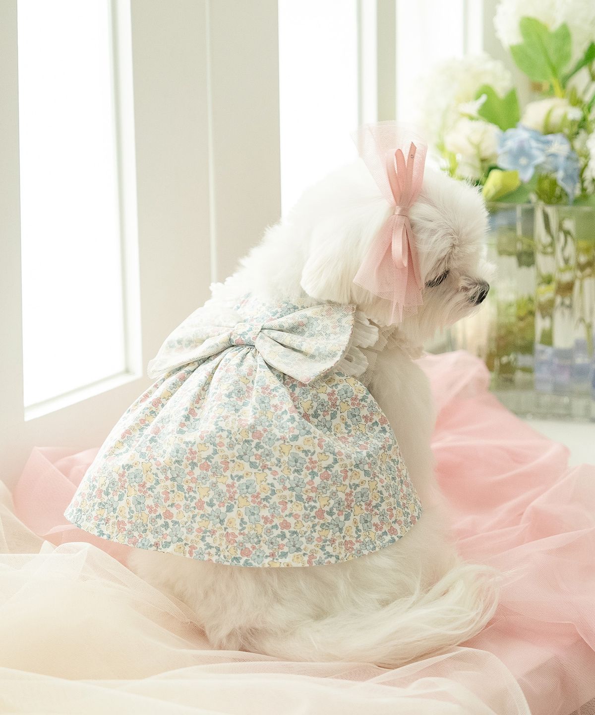 마이리틀독(MY LITTLE DOG) 베베 보우 원피스
