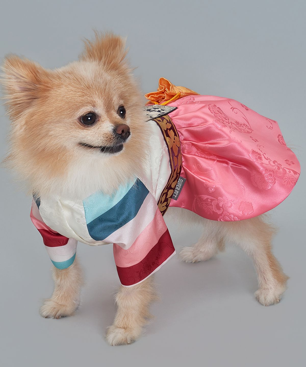 도그아이(DOGI) 강아지 여아선경단한복 연지핑크