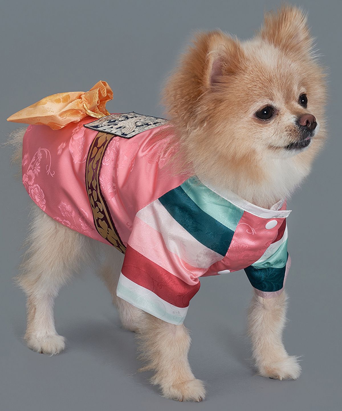 도그아이(DOGI) 강아지 남아선경단한복 연지핑크