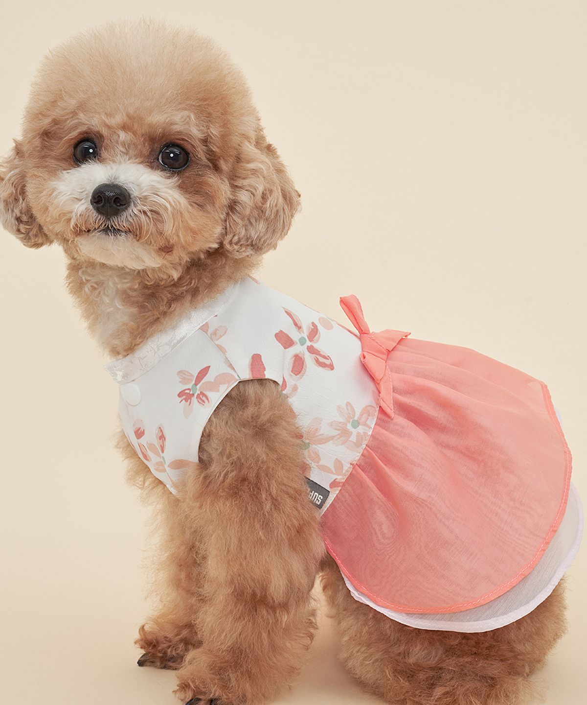 도그아이(DOGI) 강아지 여아꽃한복 핑크