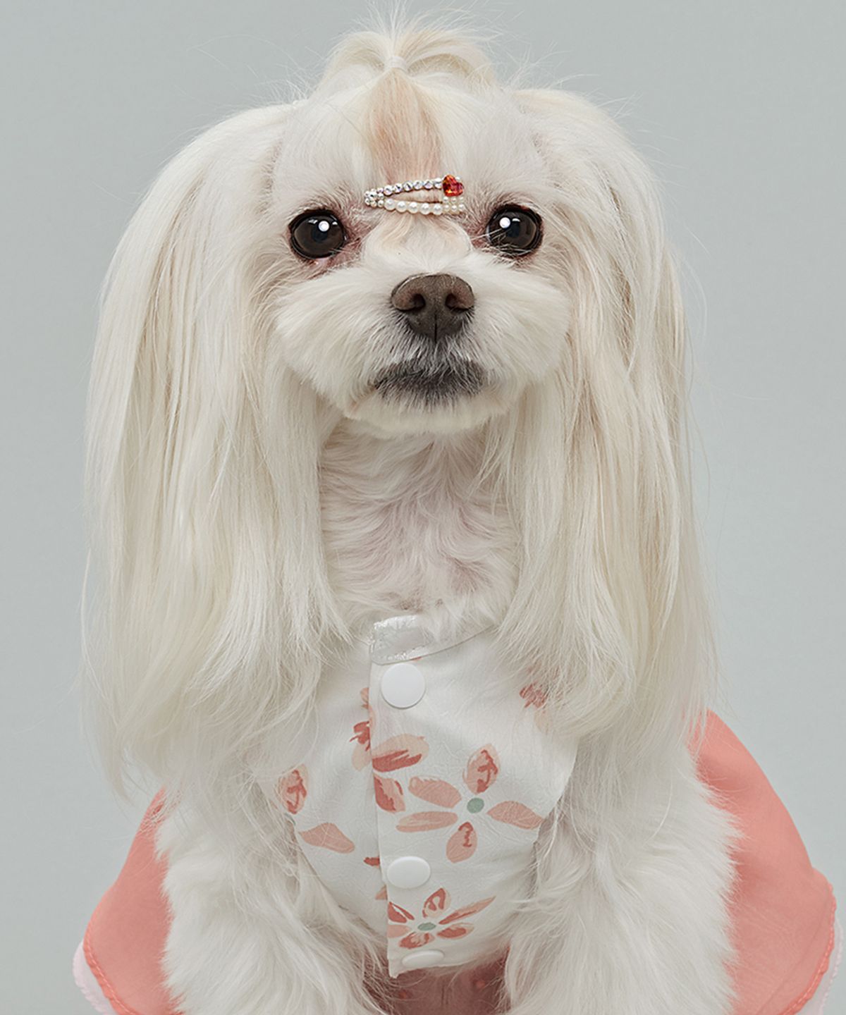 도그아이(DOGI) 강아지 여아꽃한복 핑크