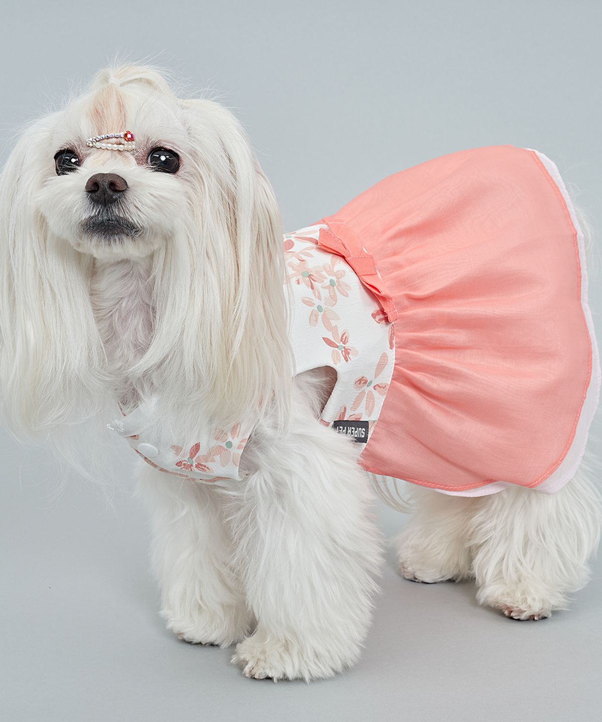 도그아이(DOGI) 강아지 여아꽃한복 핑크