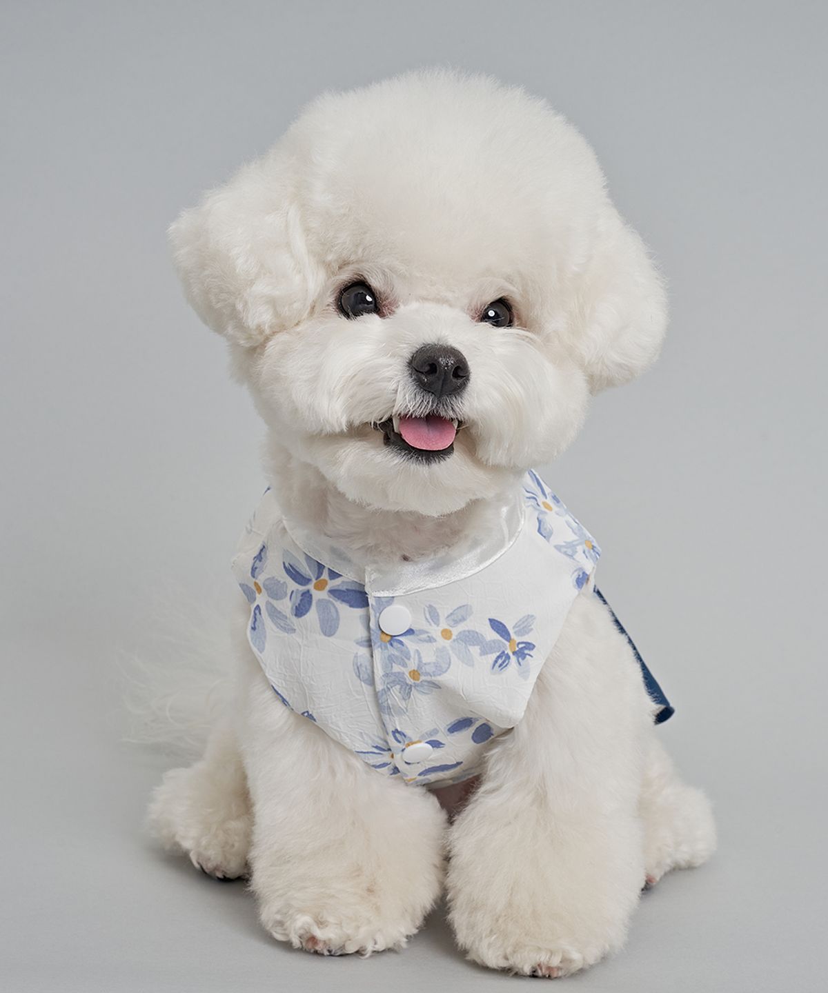 도그아이(DOGI) 강아지 남아꽃한복 블루