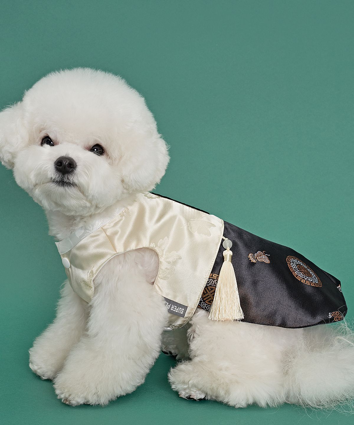도그아이(DOGI) 강아지 남아금화단 한복 블랙