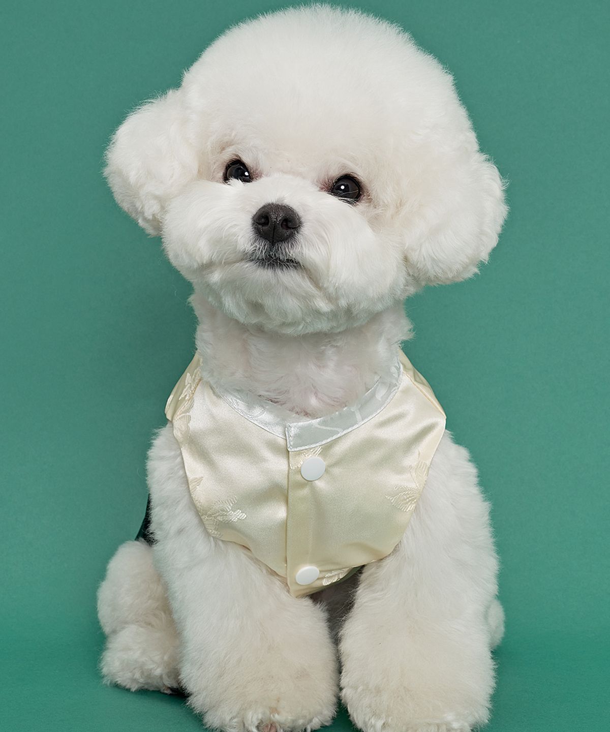 도그아이(DOGI) 강아지 남아금화단 한복 블랙