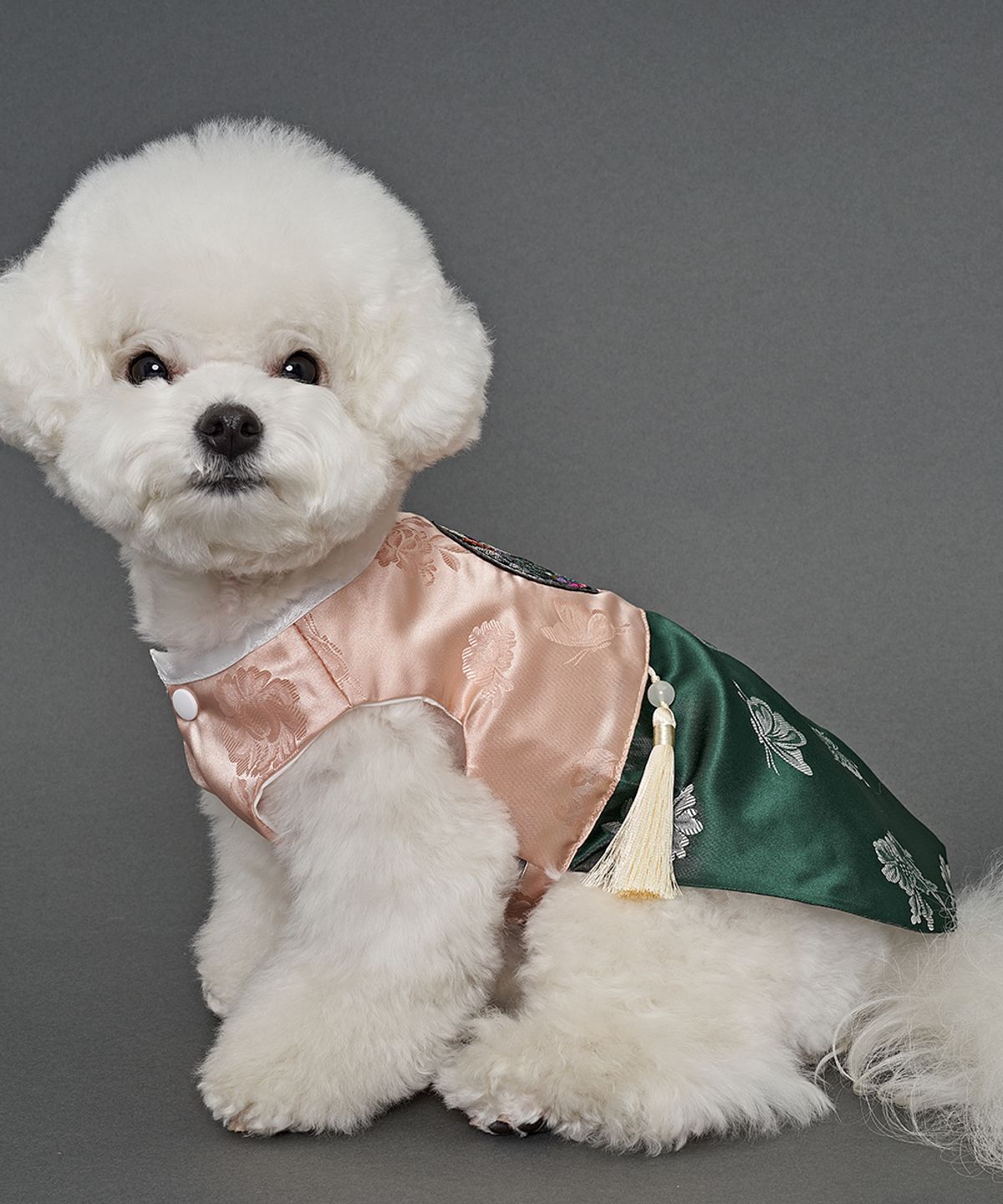 도그아이(DOGI) 강아지 남아금화단 한복 그린