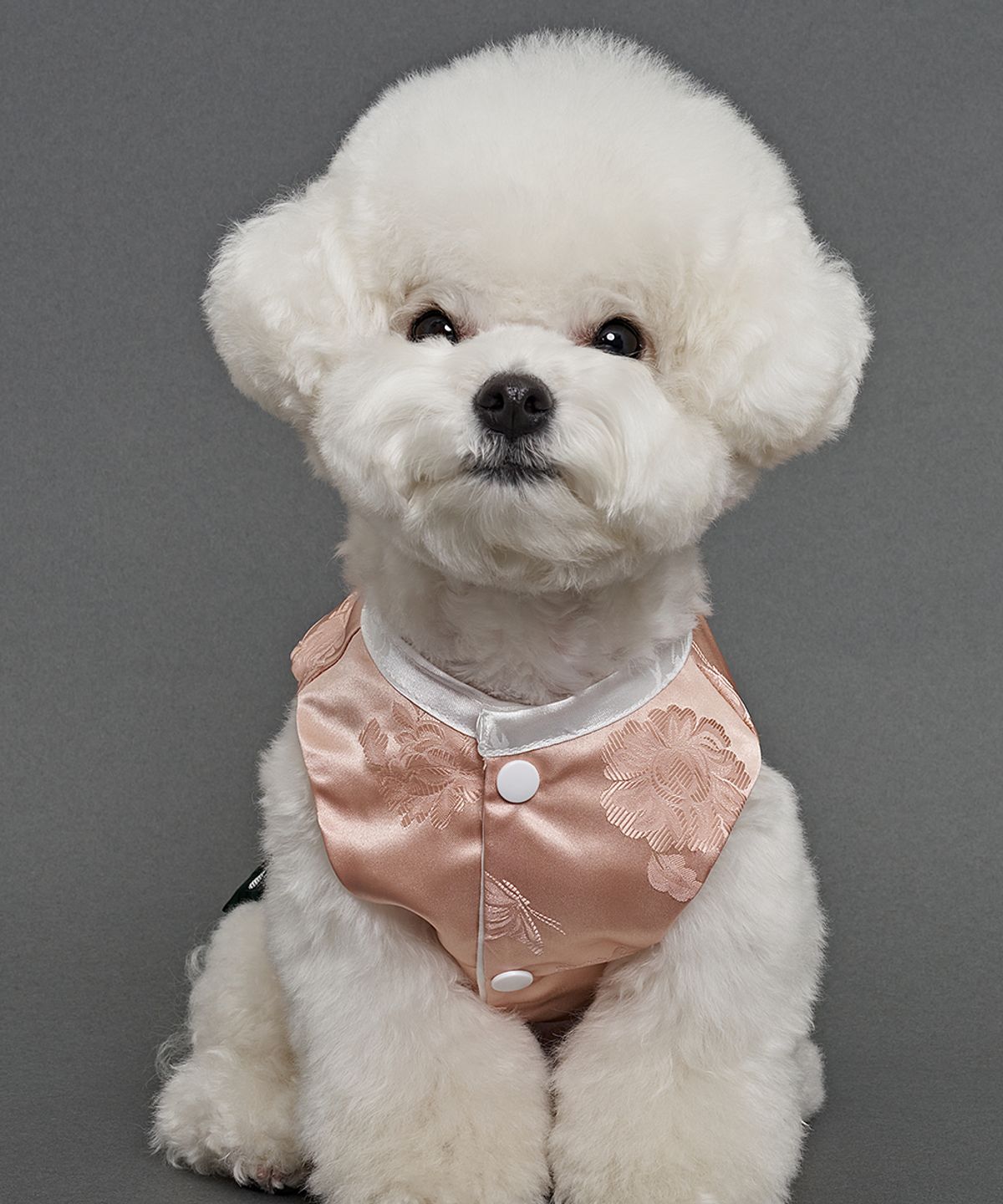 도그아이(DOGI) 강아지 남아금화단 한복 그린