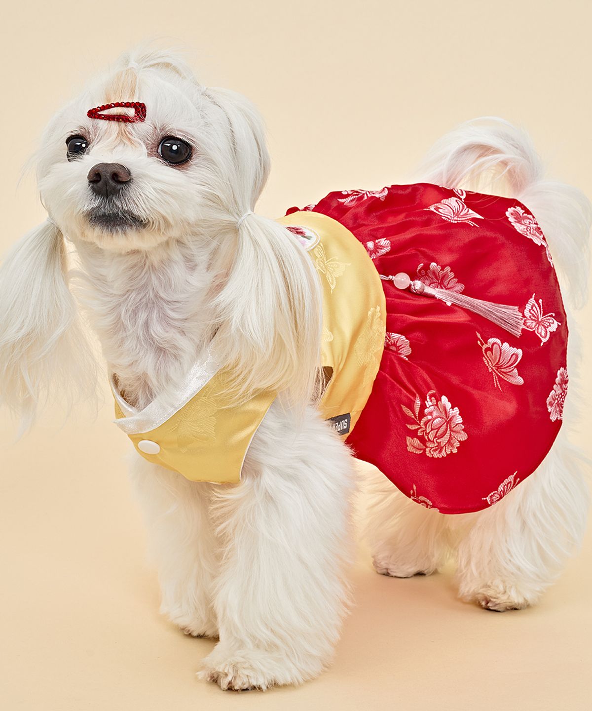 도그아이(DOGI) 강아지 여아금화단 한복 레드
