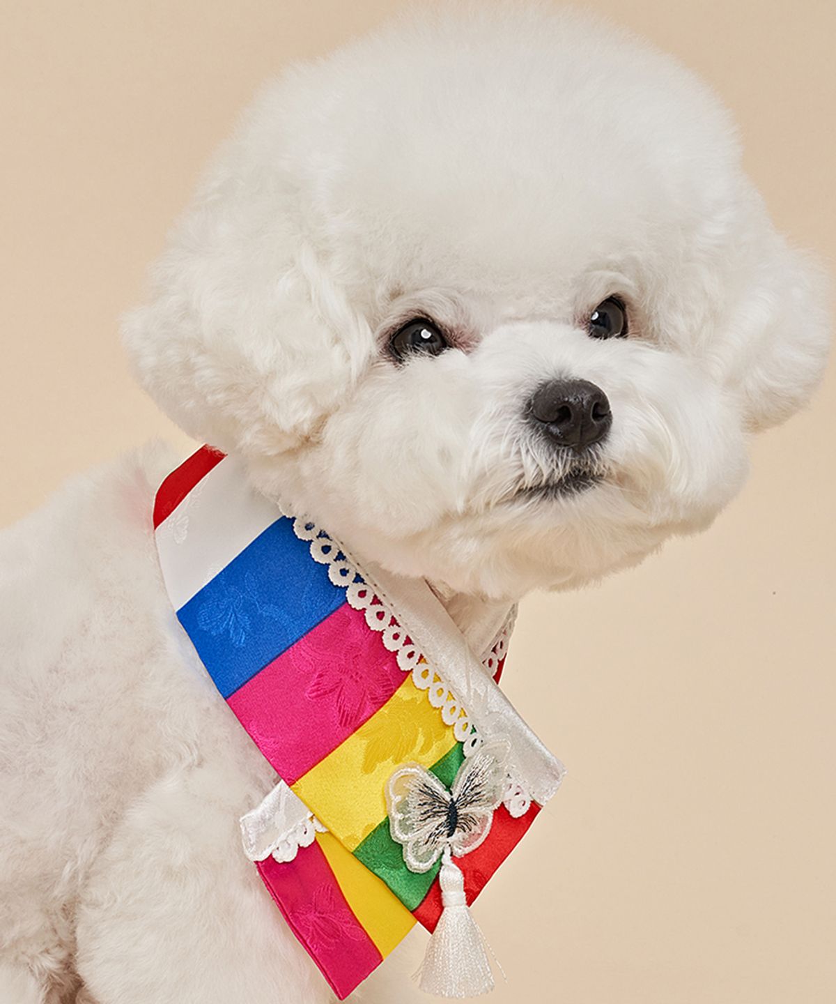 도그아이(DOGI) 강아지 노리개 한복 스카프 색동레드