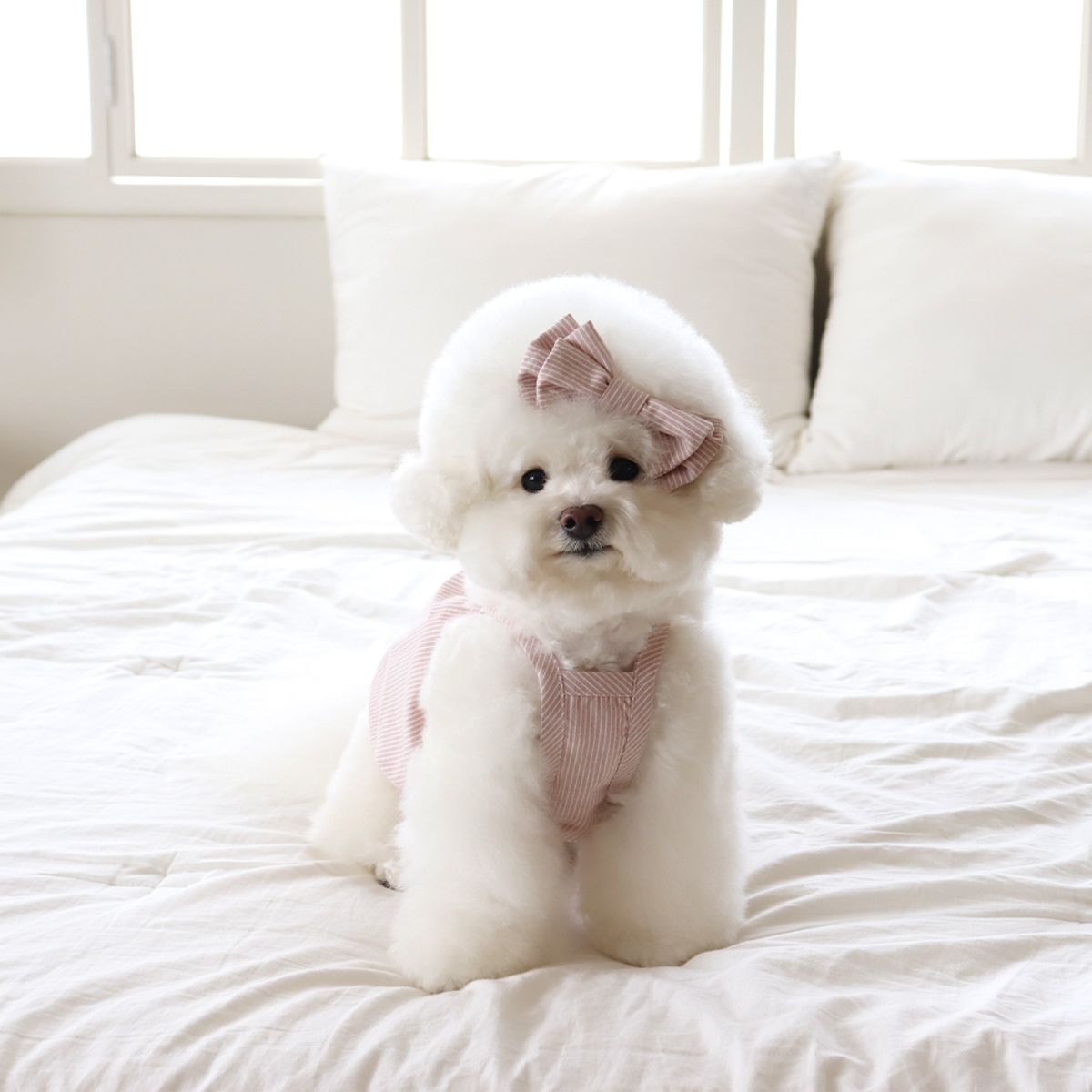 쉬오트(CHIOT) 베이비 벌룬 탑 (베이비핑크)