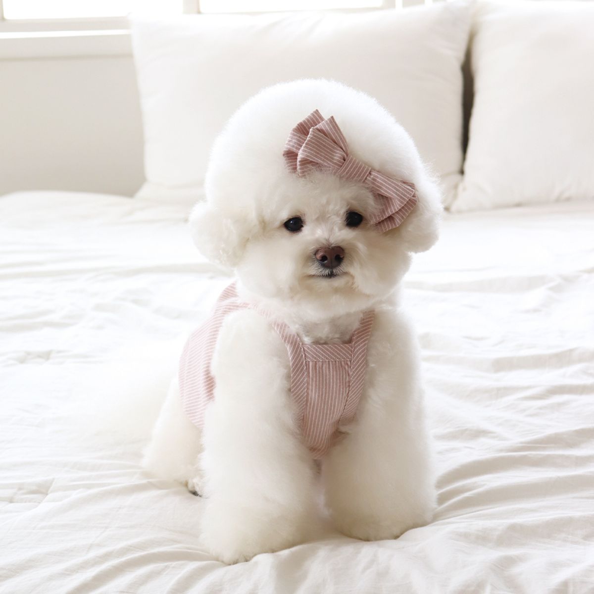 쉬오트(CHIOT) 베이비 벌룬 탑 (베이비핑크)