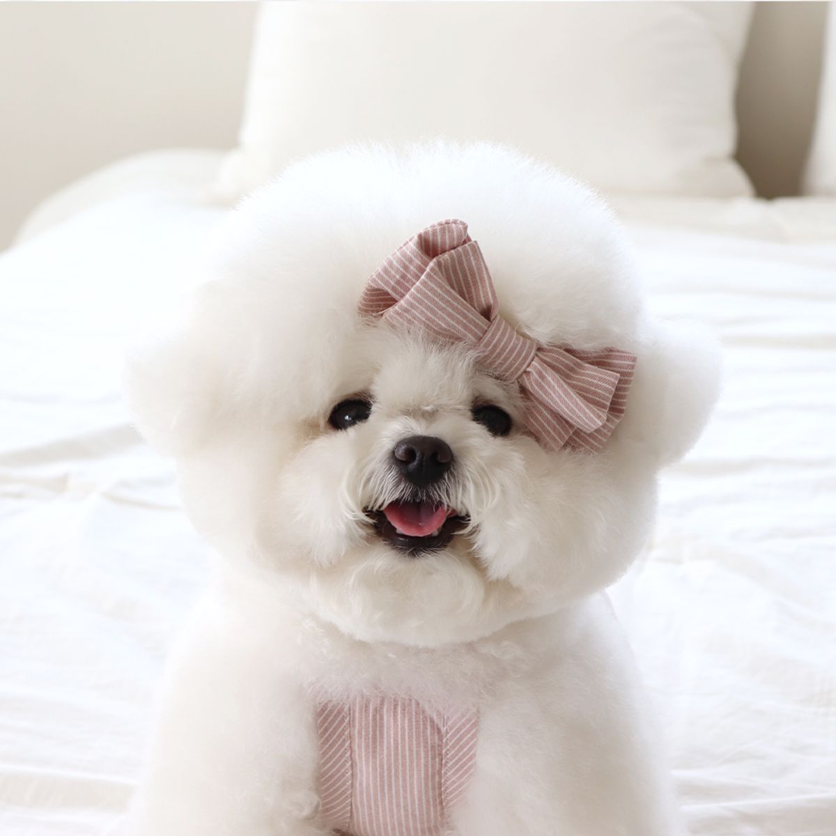 쉬오트(CHIOT) 베이비 벌룬 탑 (베이비핑크)